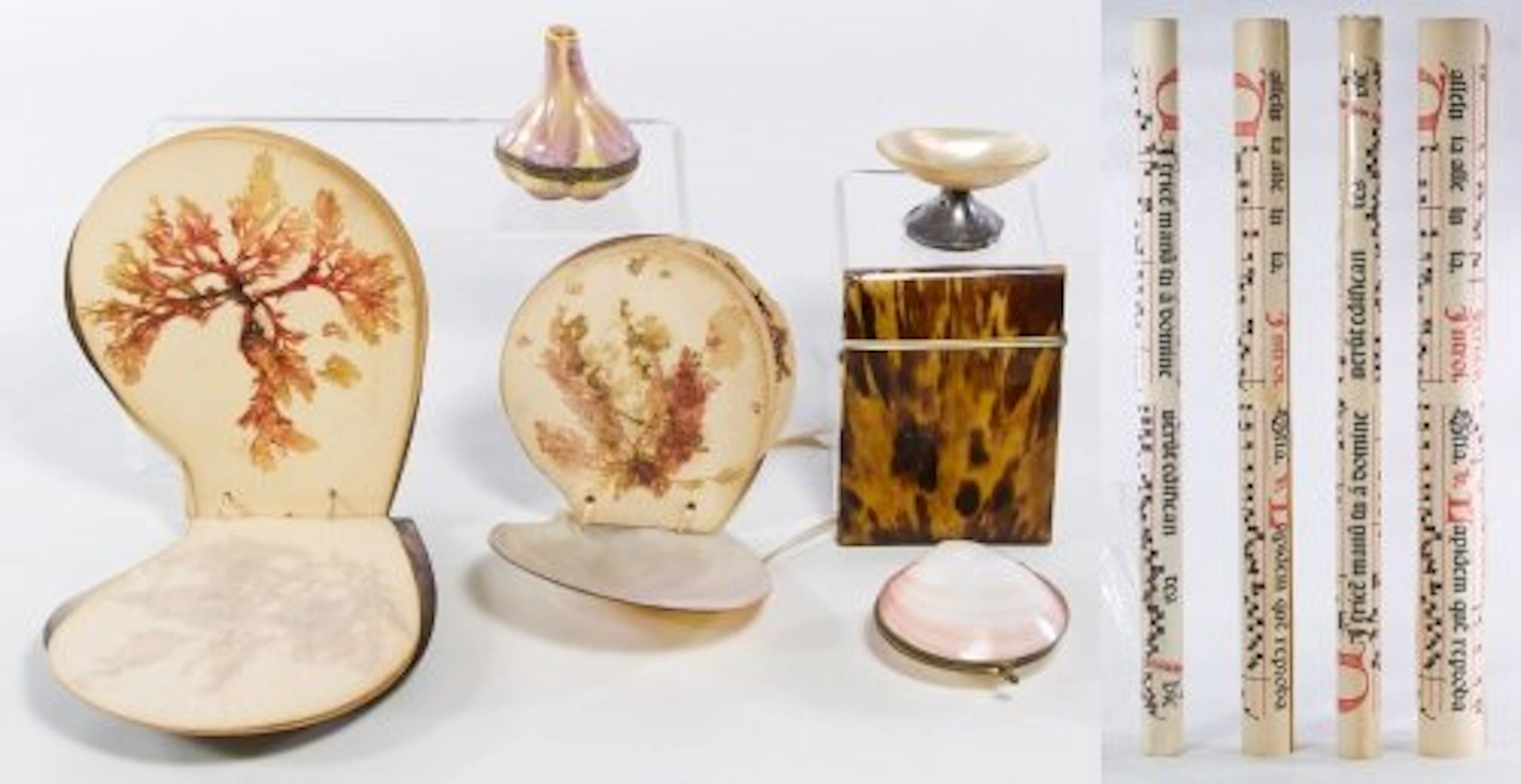 Shell Cover Book, Vanity Accessory, Poster and Print