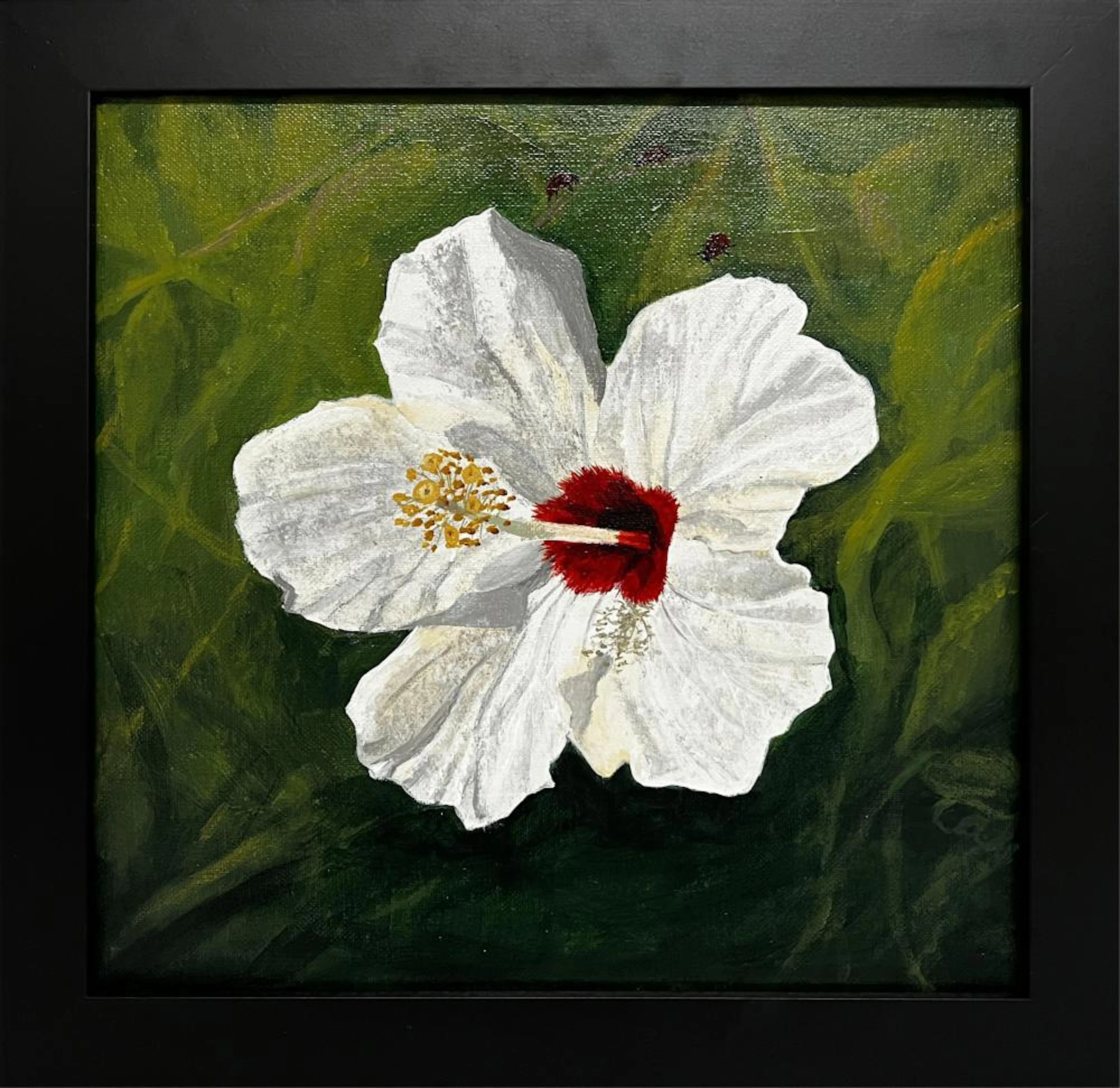 CAROL ANN KNAPP FLORIDA ARTIST RED THROAT HIBISCUS