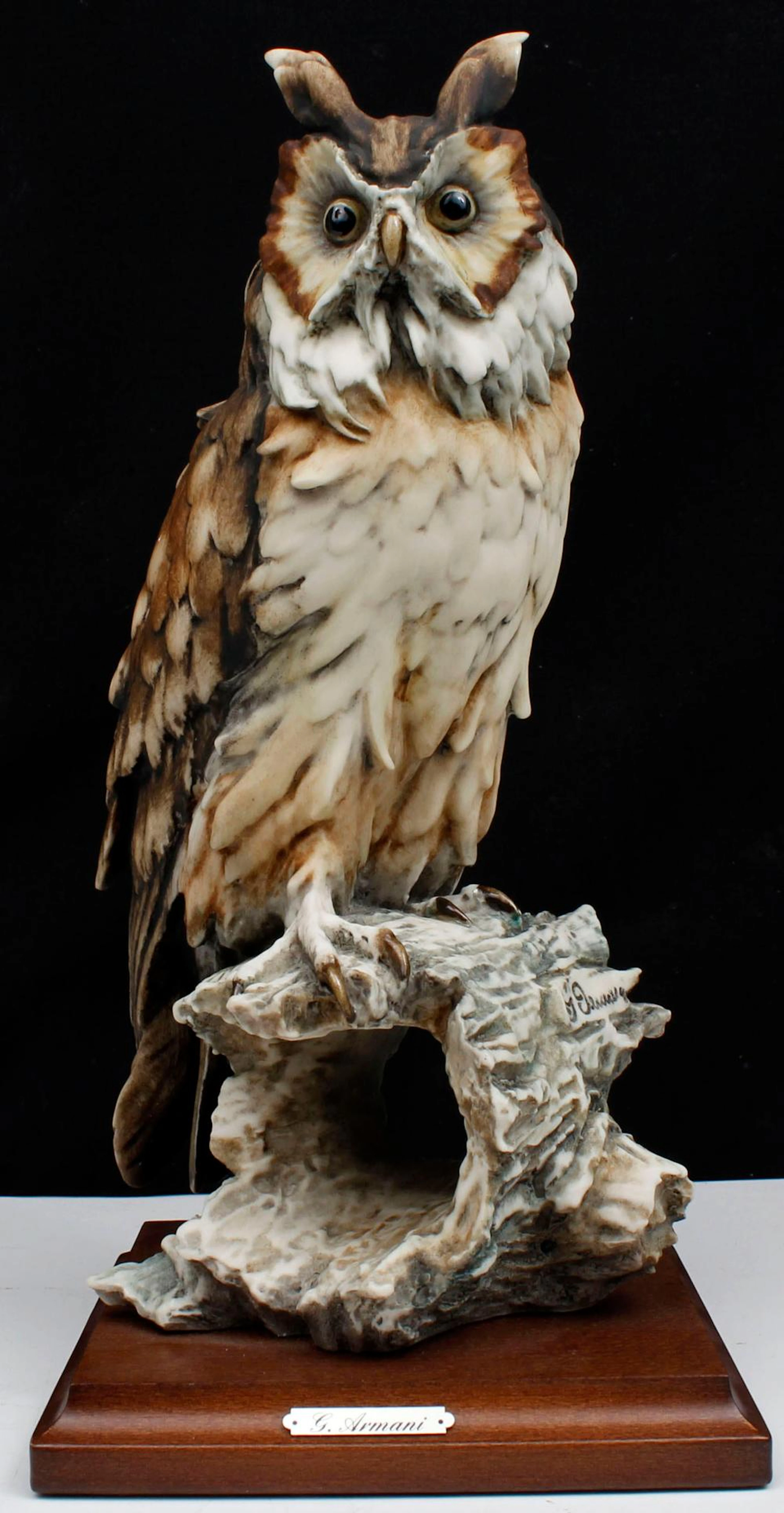 G. ARMANI LONG EARED OWL