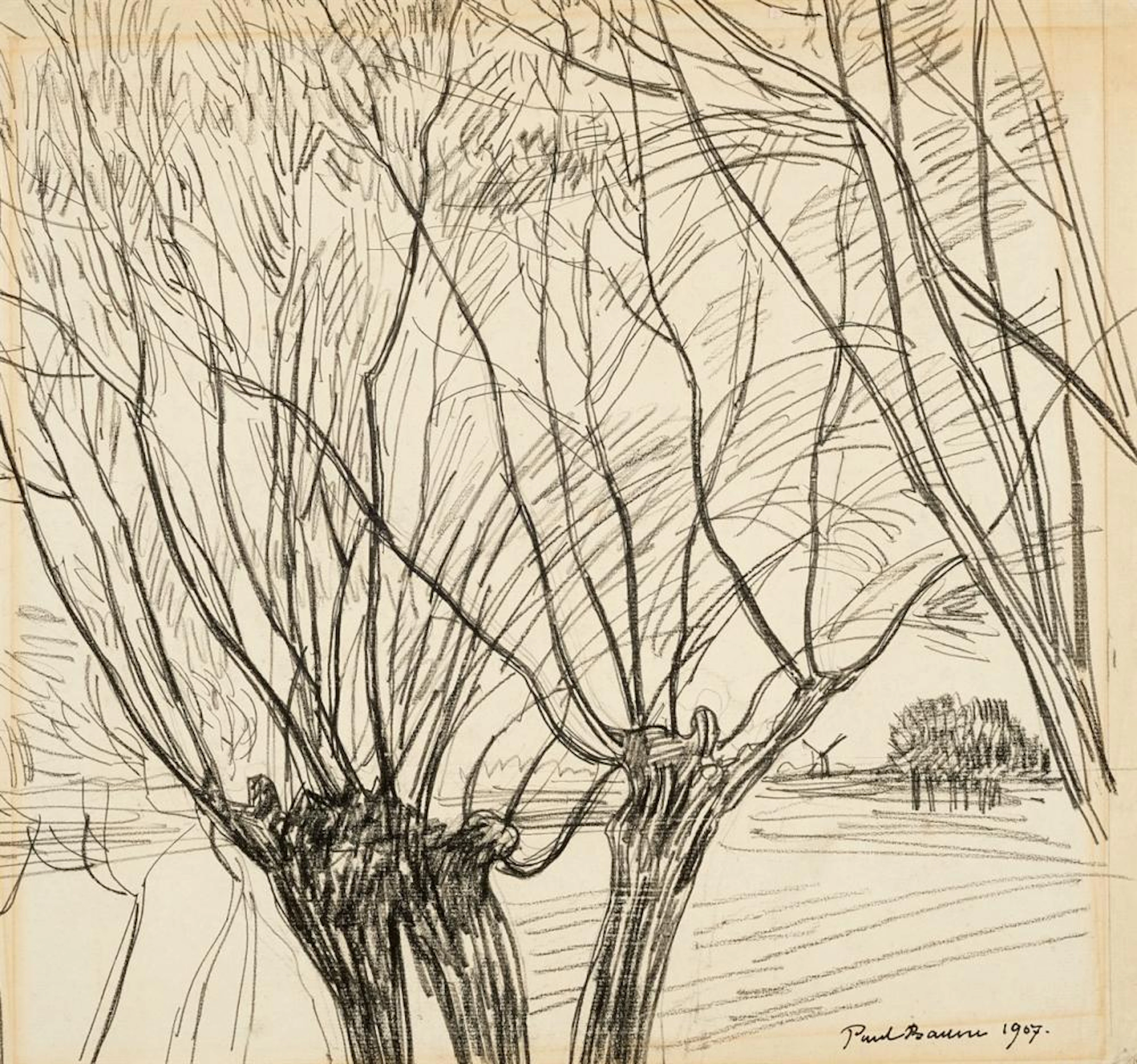 Paul Baum, Blätterloses Gezweig der Kopfweiden, 1907