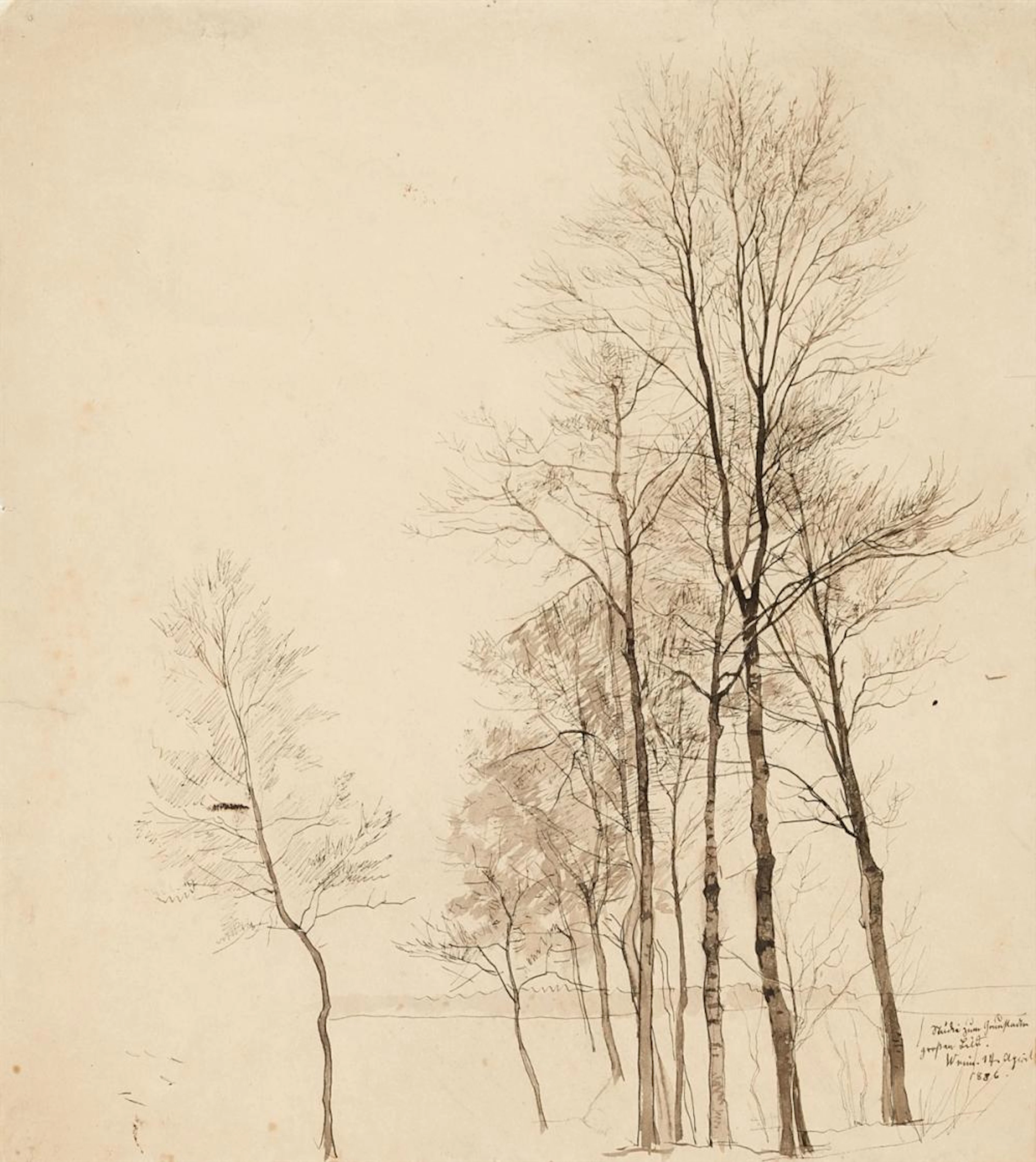 Paul Baum, Bäume ohne Laub (Studie), 1886