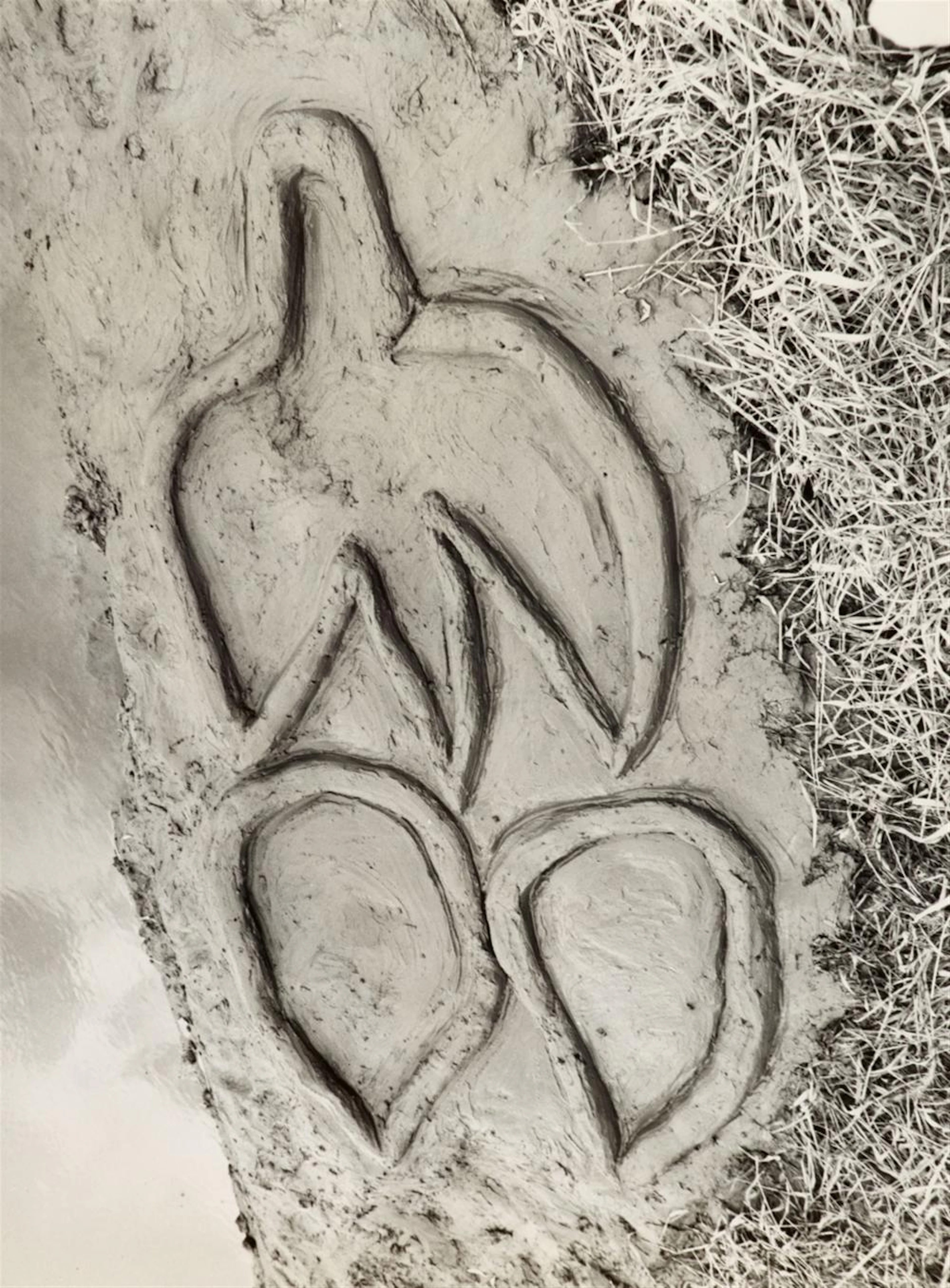 Ana Mendieta, Untitled (from the series: Jungle), 1983