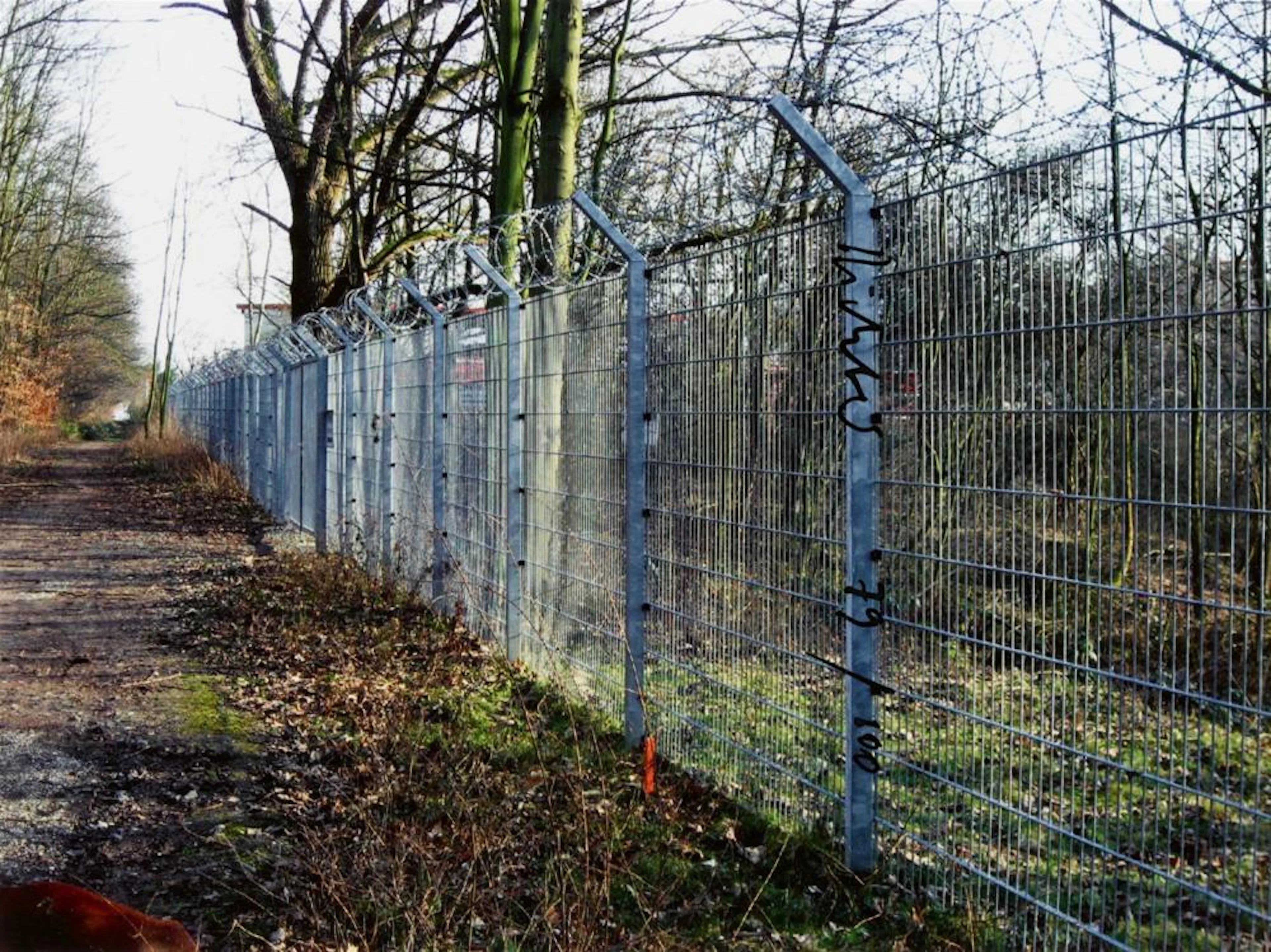 Gerhard Richter, Zaun, 2010