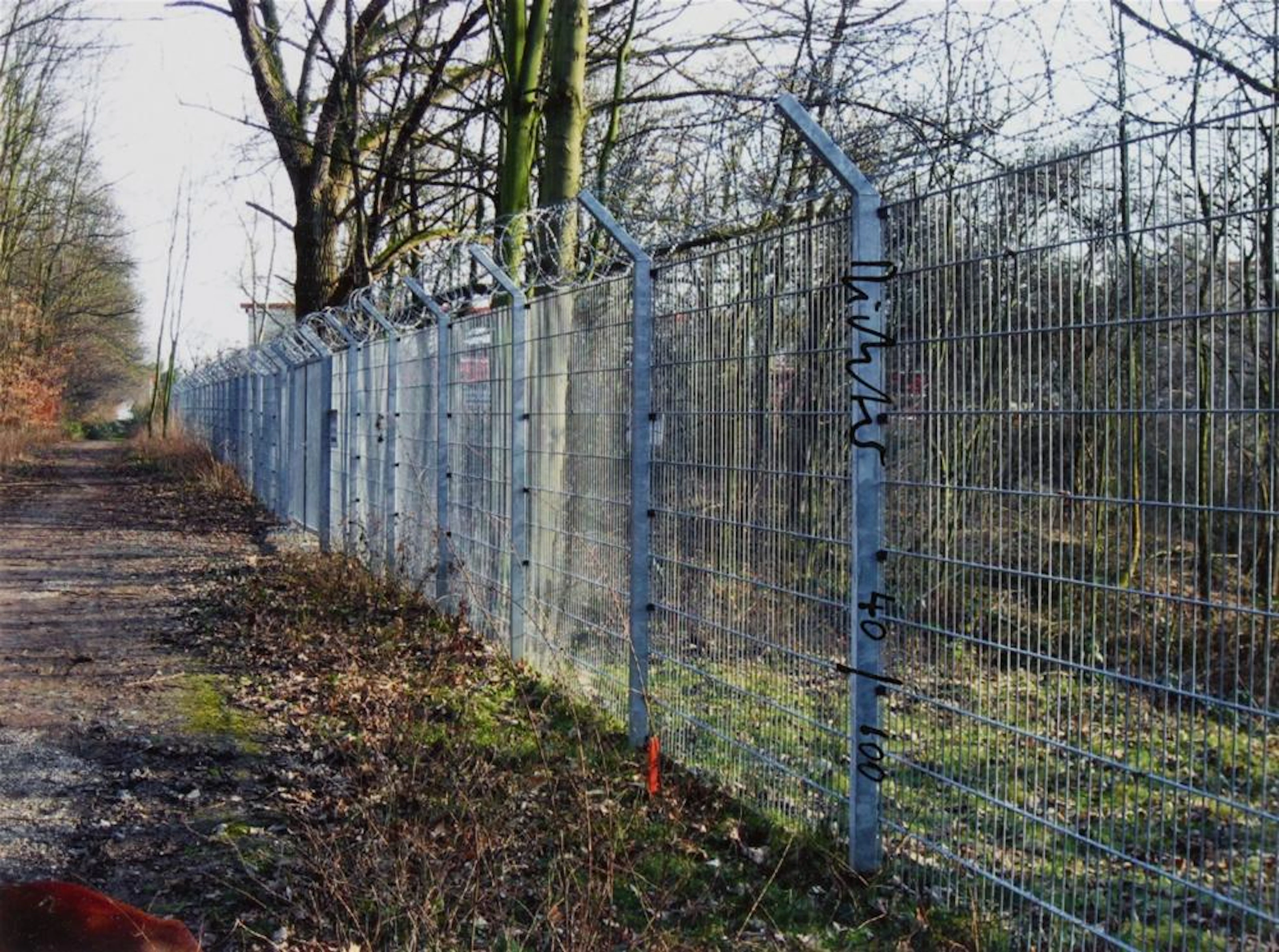 Gerhard Richter, Zaun, 2010