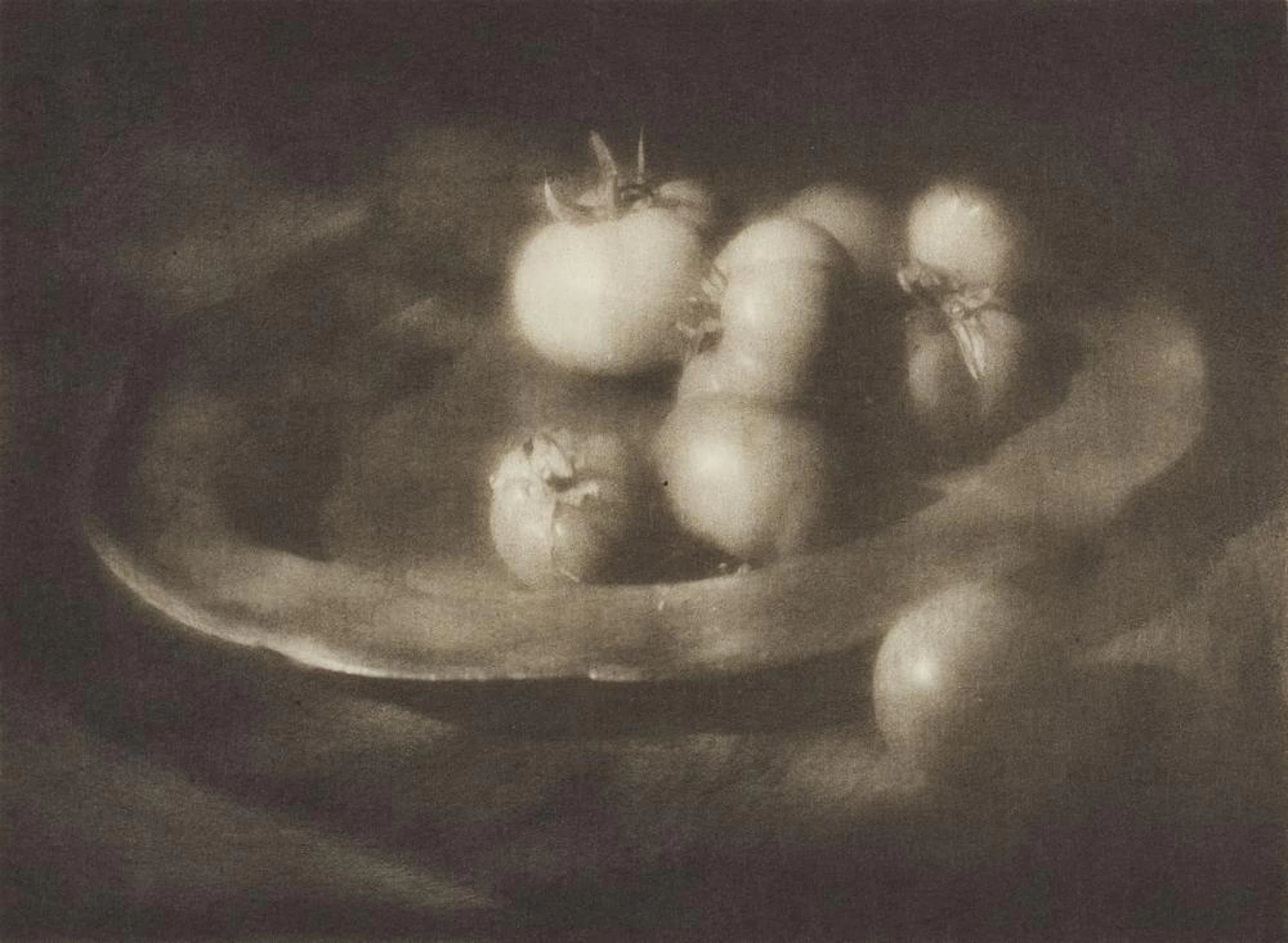 Heinrich Kühn, Untitled, 1910