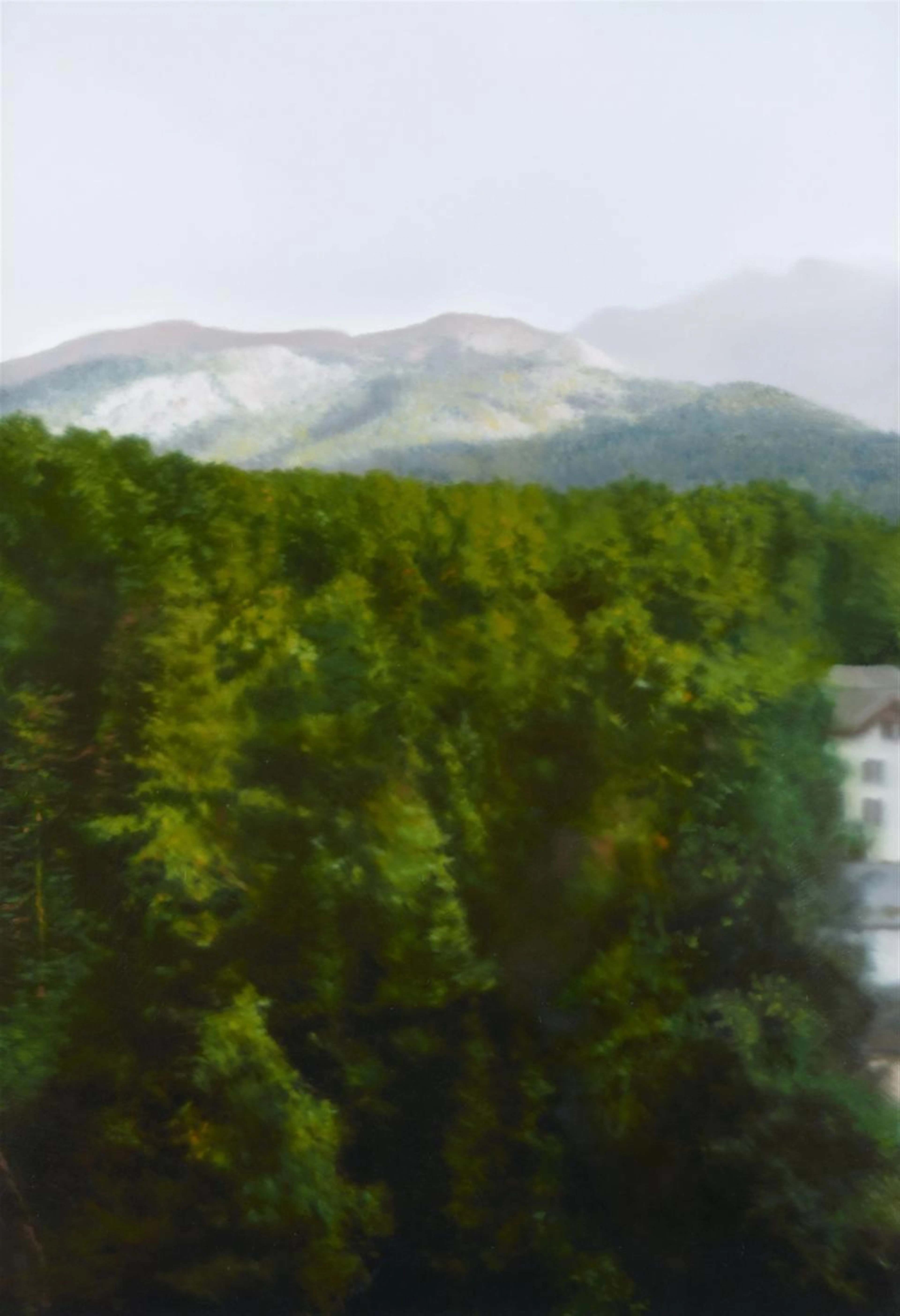 Gerhard Richter, Waldhaus, 2004