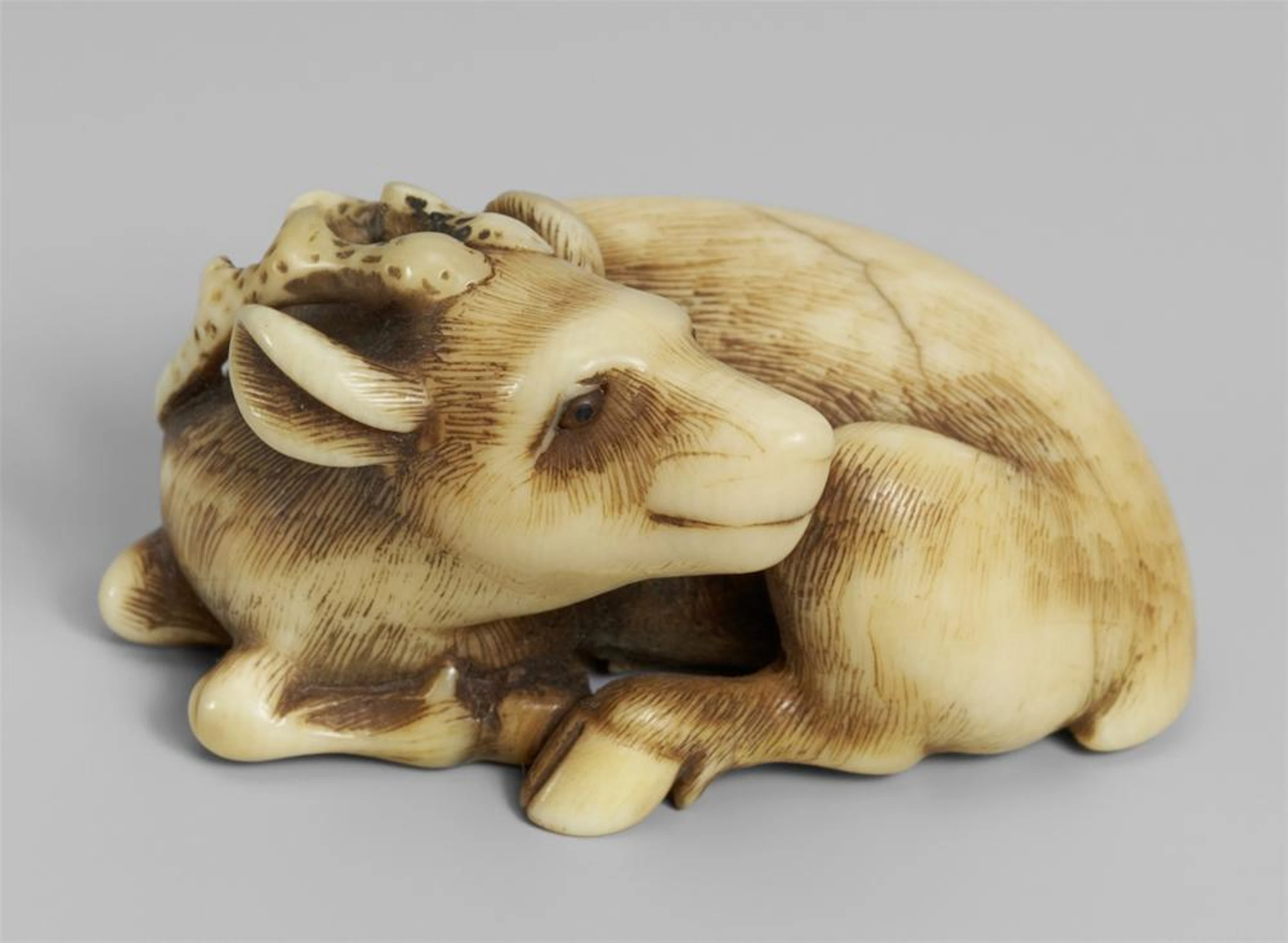 An ivory netsuke of a recumbent stag. Mid-19th century