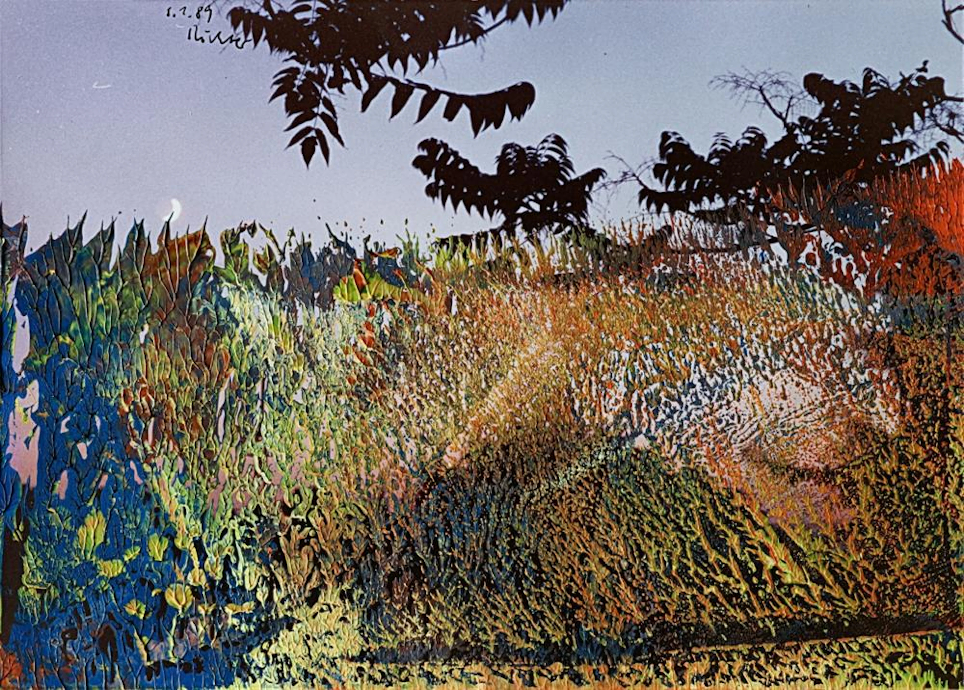 Gerhard Richter, 8.1.89, 1989