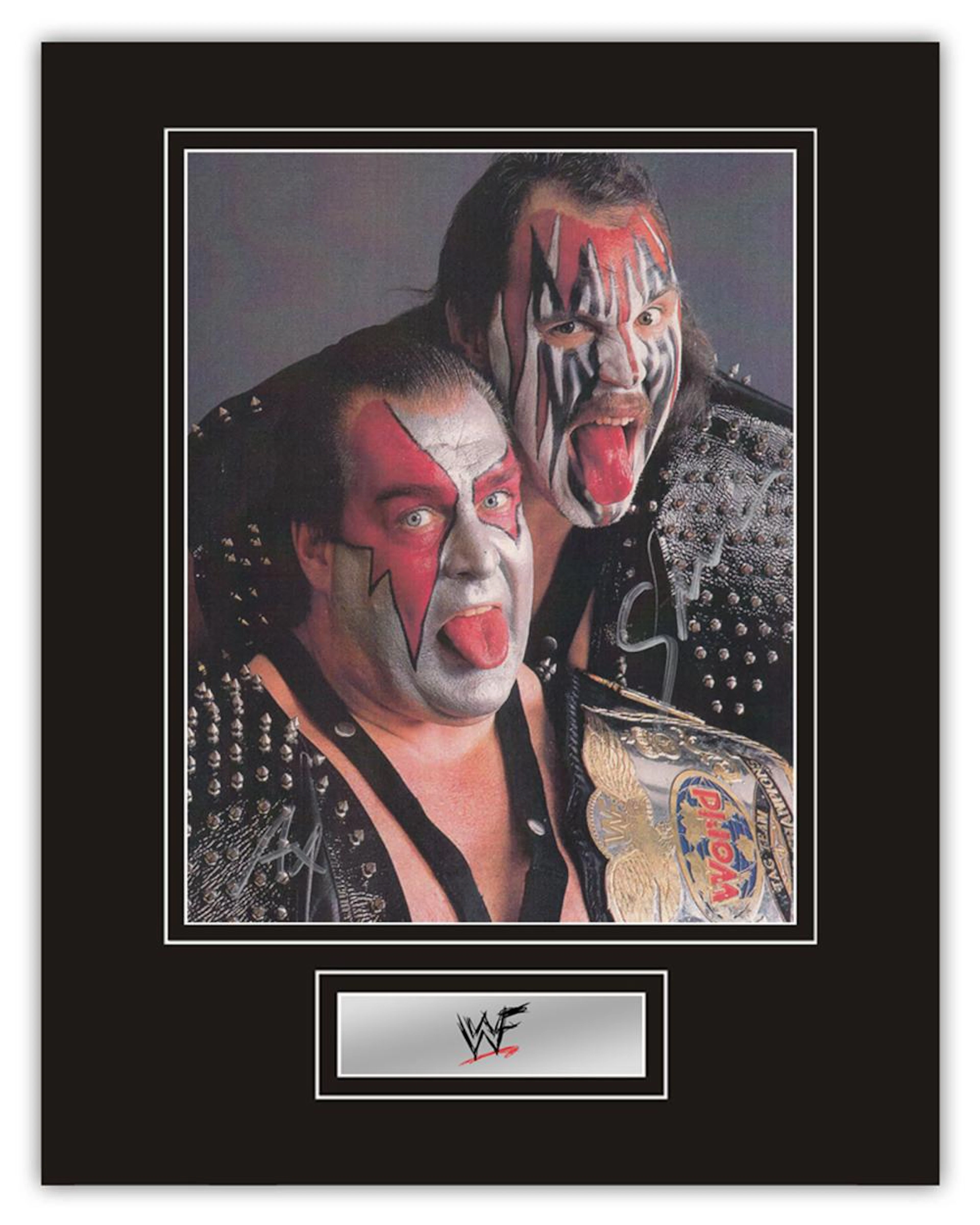 Stunning Display! WWF/WWE Wrestling Demolition hand signed professionally mounted display. This