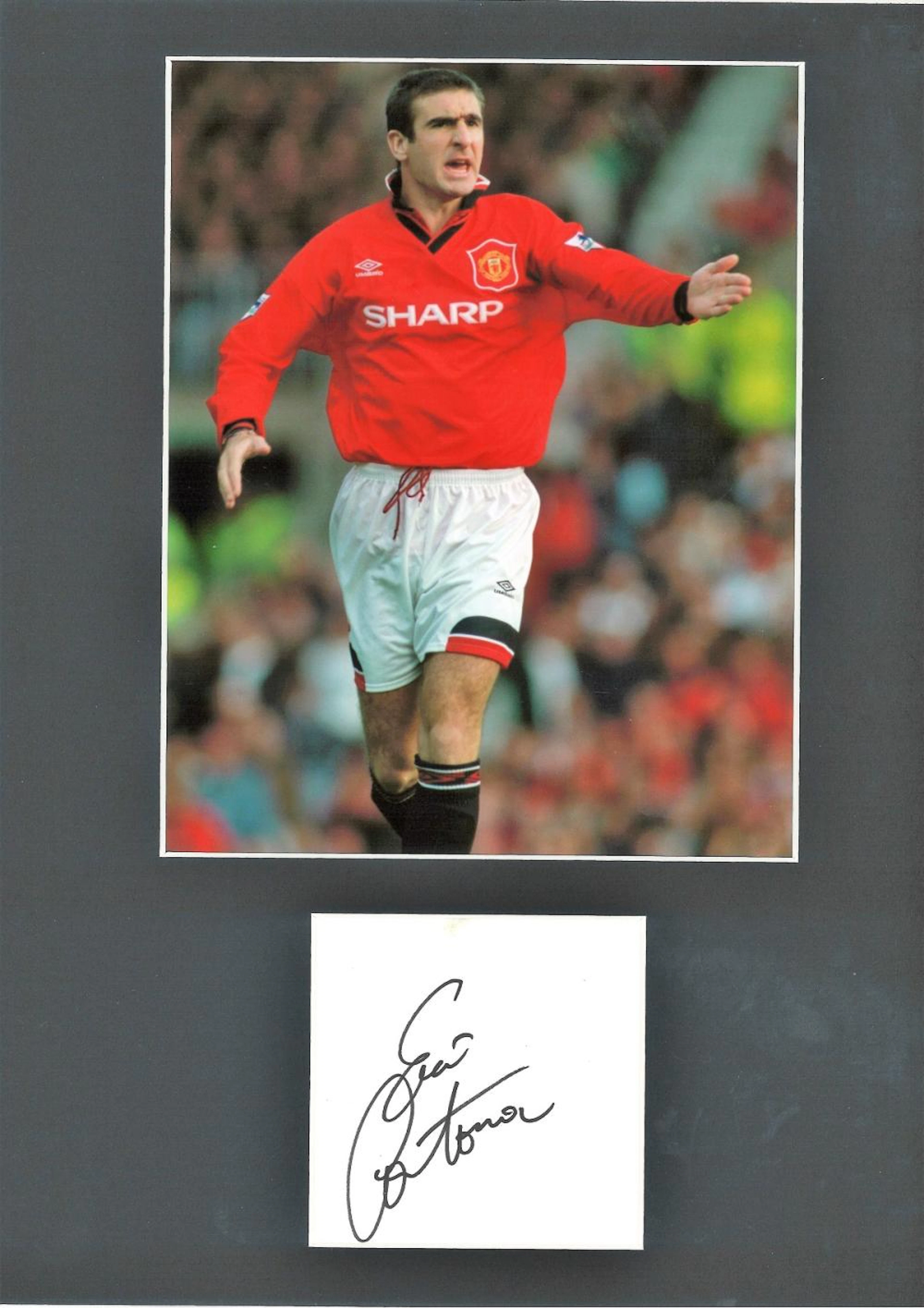 Eric Cantona 16x12 Genuine Authentic Signed Autograph Display. High Quality