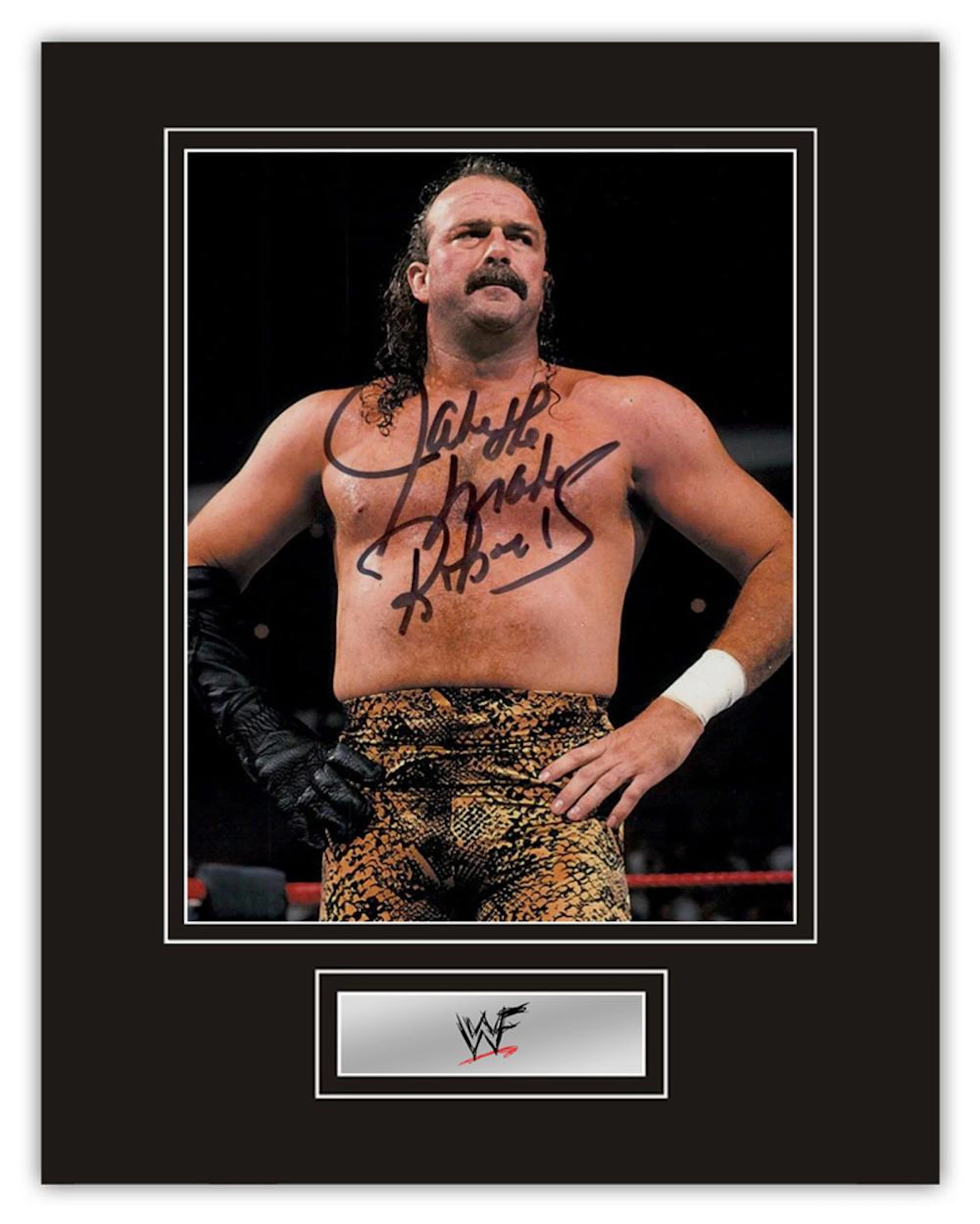 Stunning Display! WWF/WWE Wrestling Jake The Snake Roberts hand signed professionally mounted