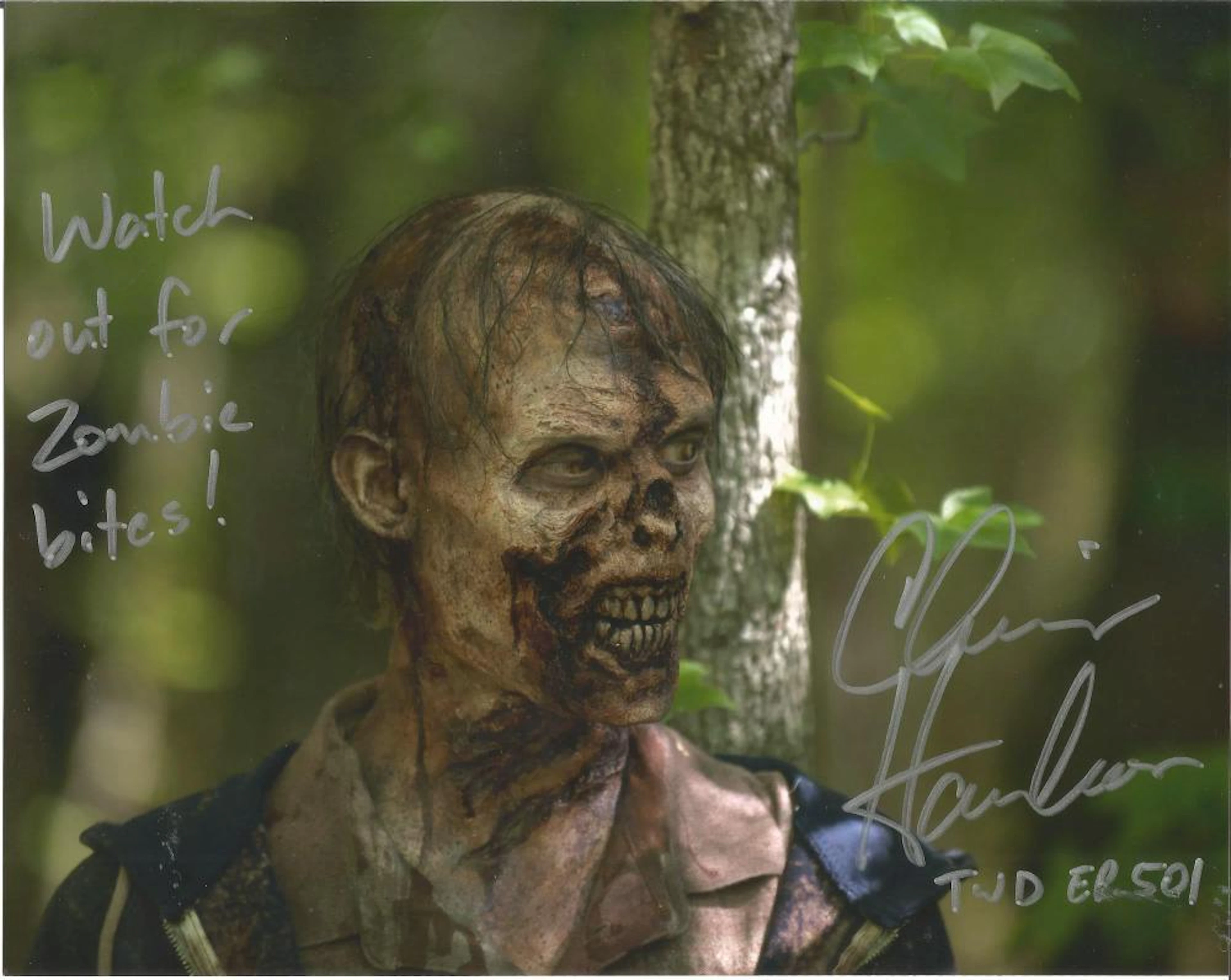 Lot of 3 Walking Dead hand signed 10x8 photos. This beautiful set of 3 hand-signed photos