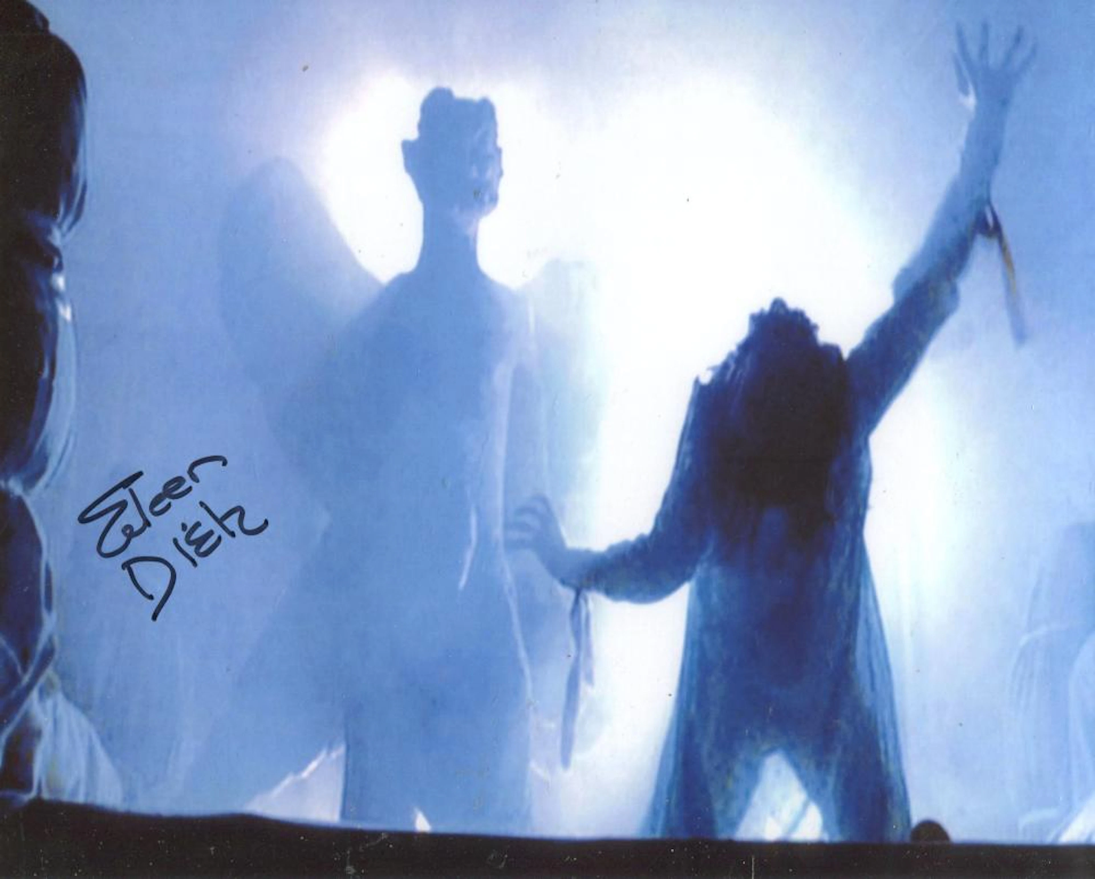 The Exorcist. 8x10 movie scene photo from the cult classic horror movie 'The Exorcist' signed by