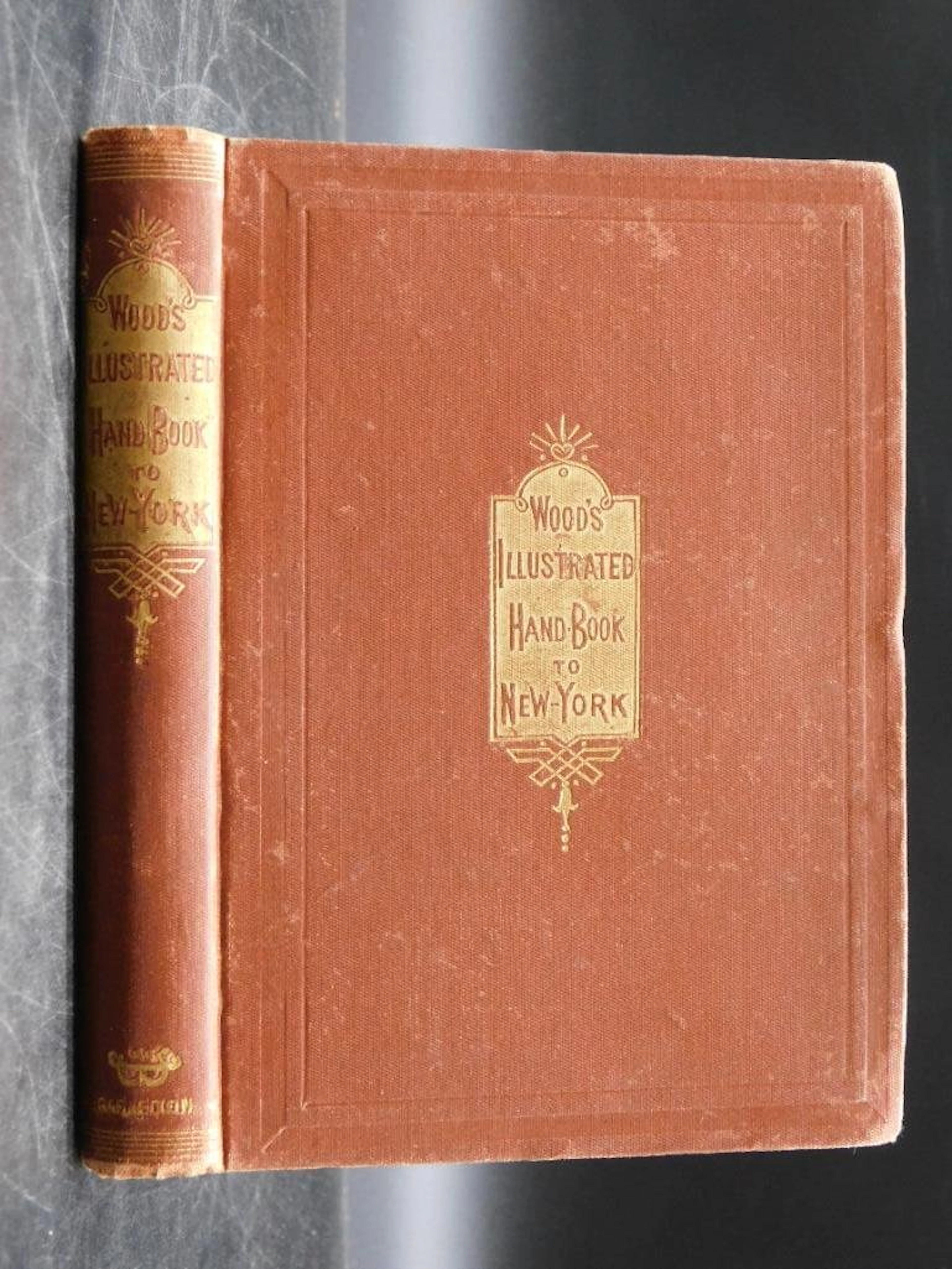 1873 WOODS ILLUSTRATED HAND BOOK TO NEW YORK BOOK