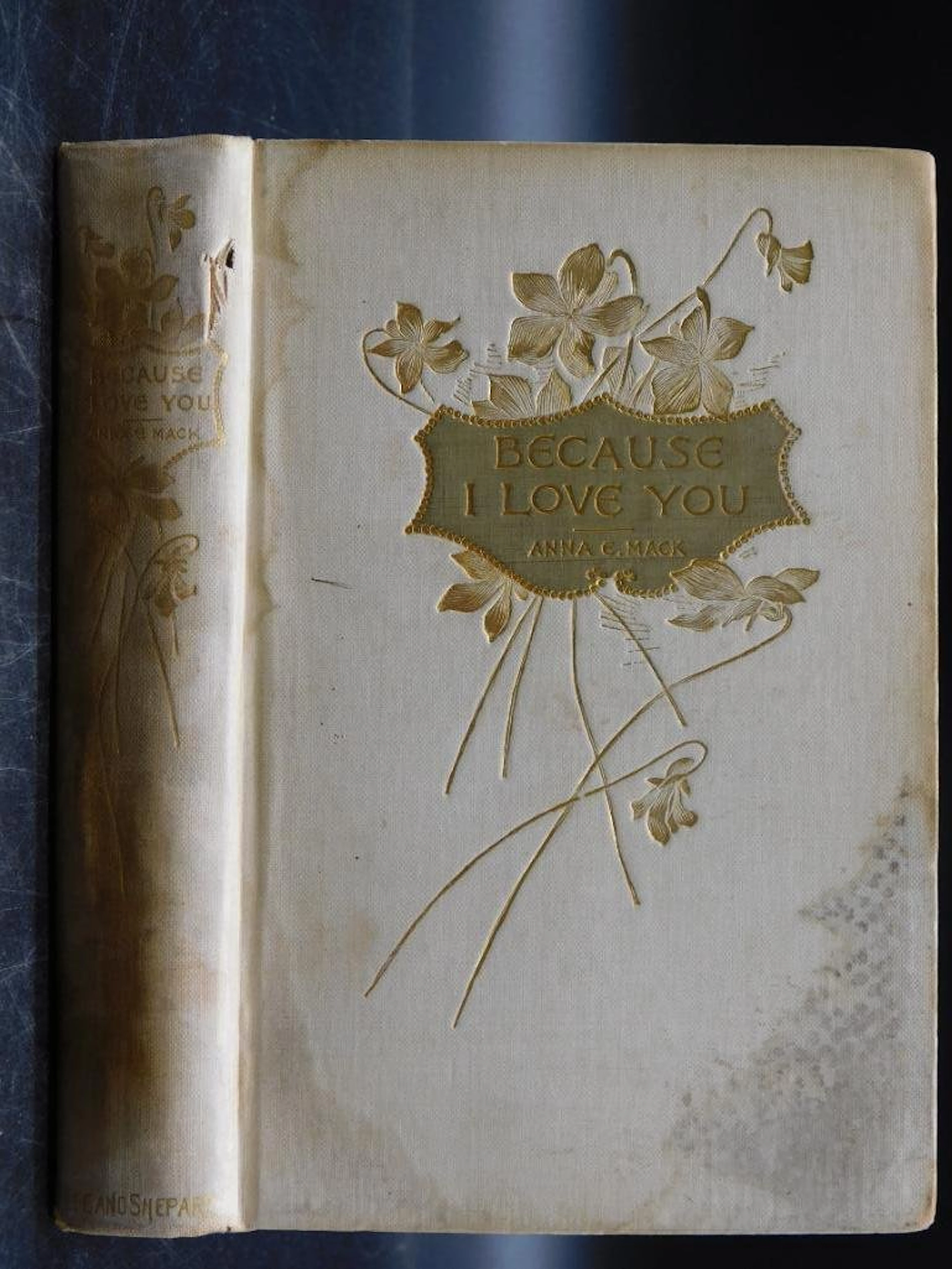 1894 BECAUSE I LOVE YOU BOOK BY ANNA C MACK 1392