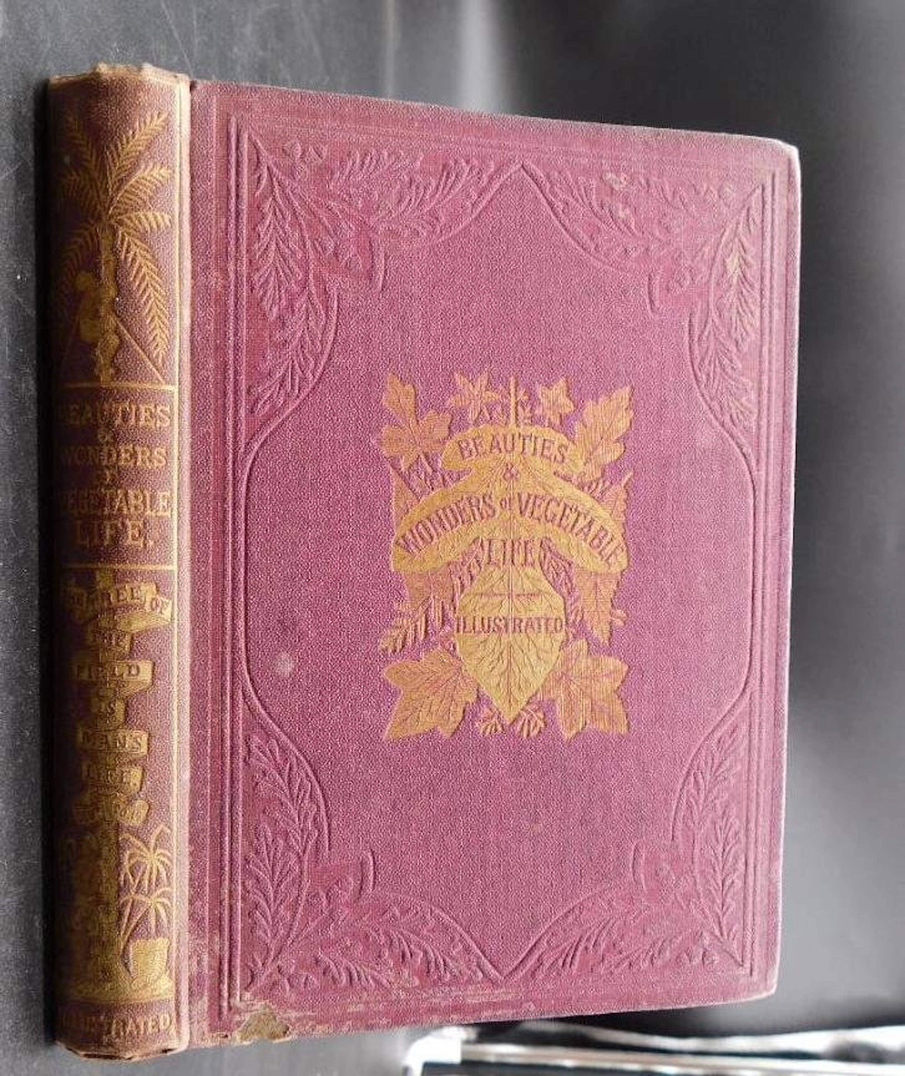 BEAUTIES AND WONDERS OF VEGETABLE LIFE BOOK VINTAGE