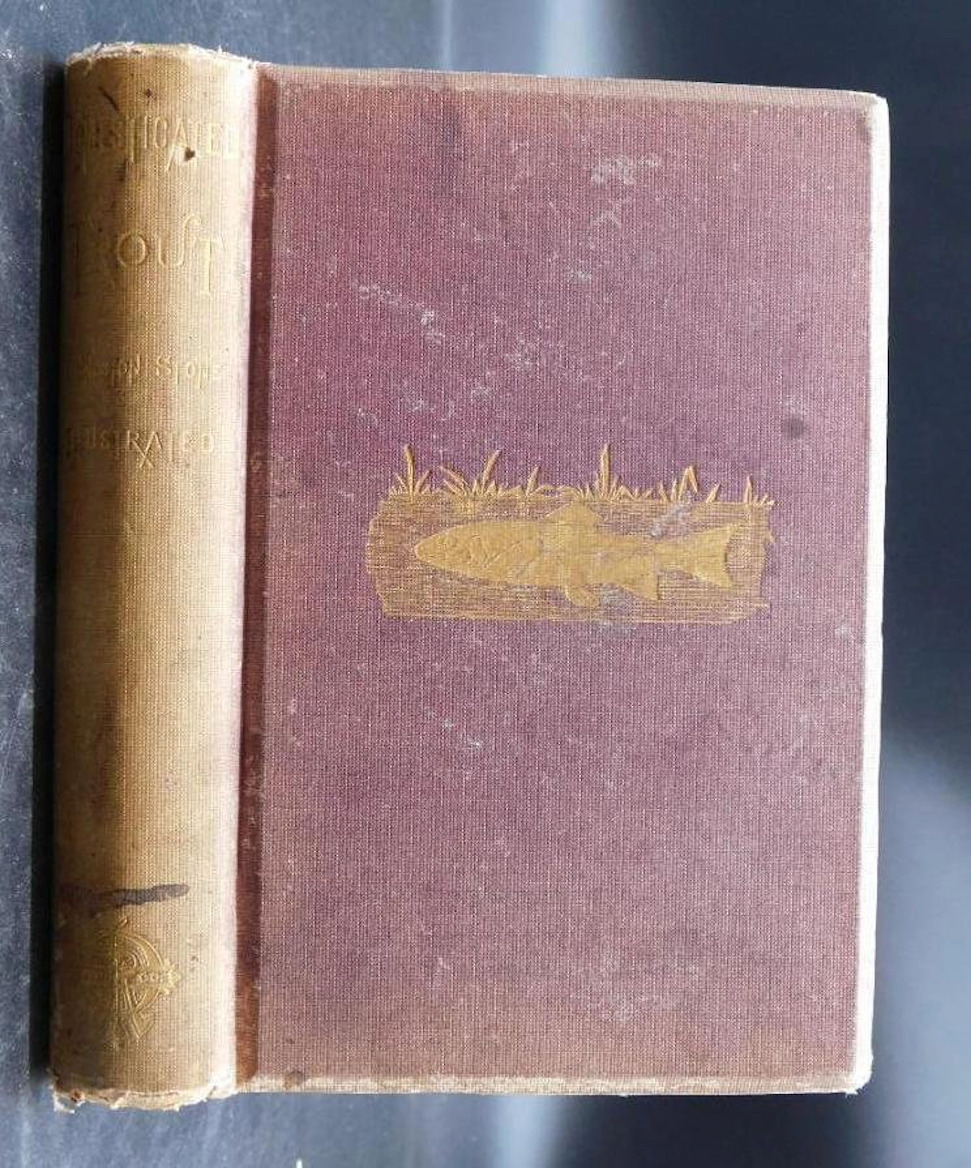 1872 DOMESTICATED TROUT BY LIVINGSTON STONE BOOK