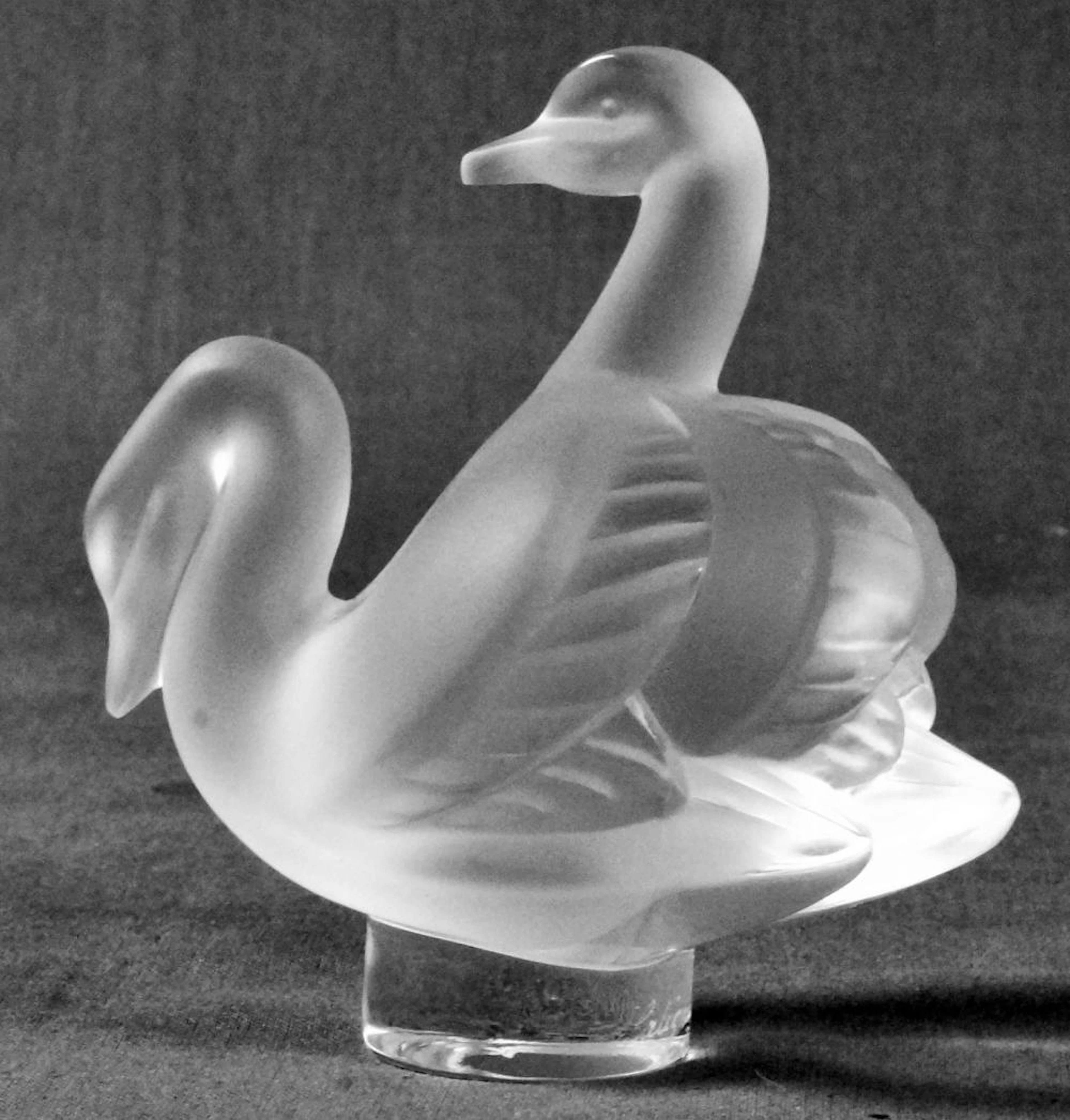 LALIQUE SWANS