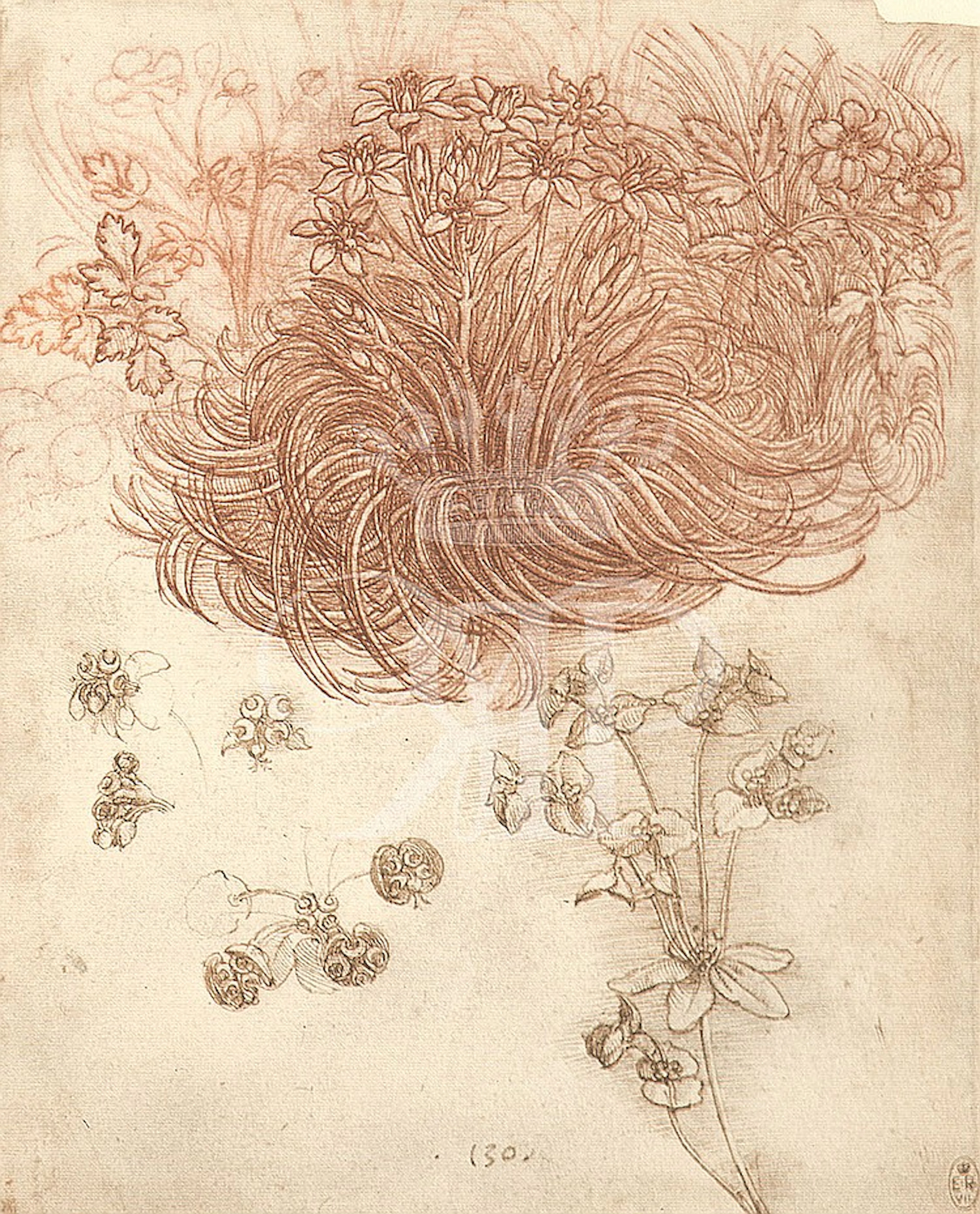 Leonardo da Vinci Lithographic Print