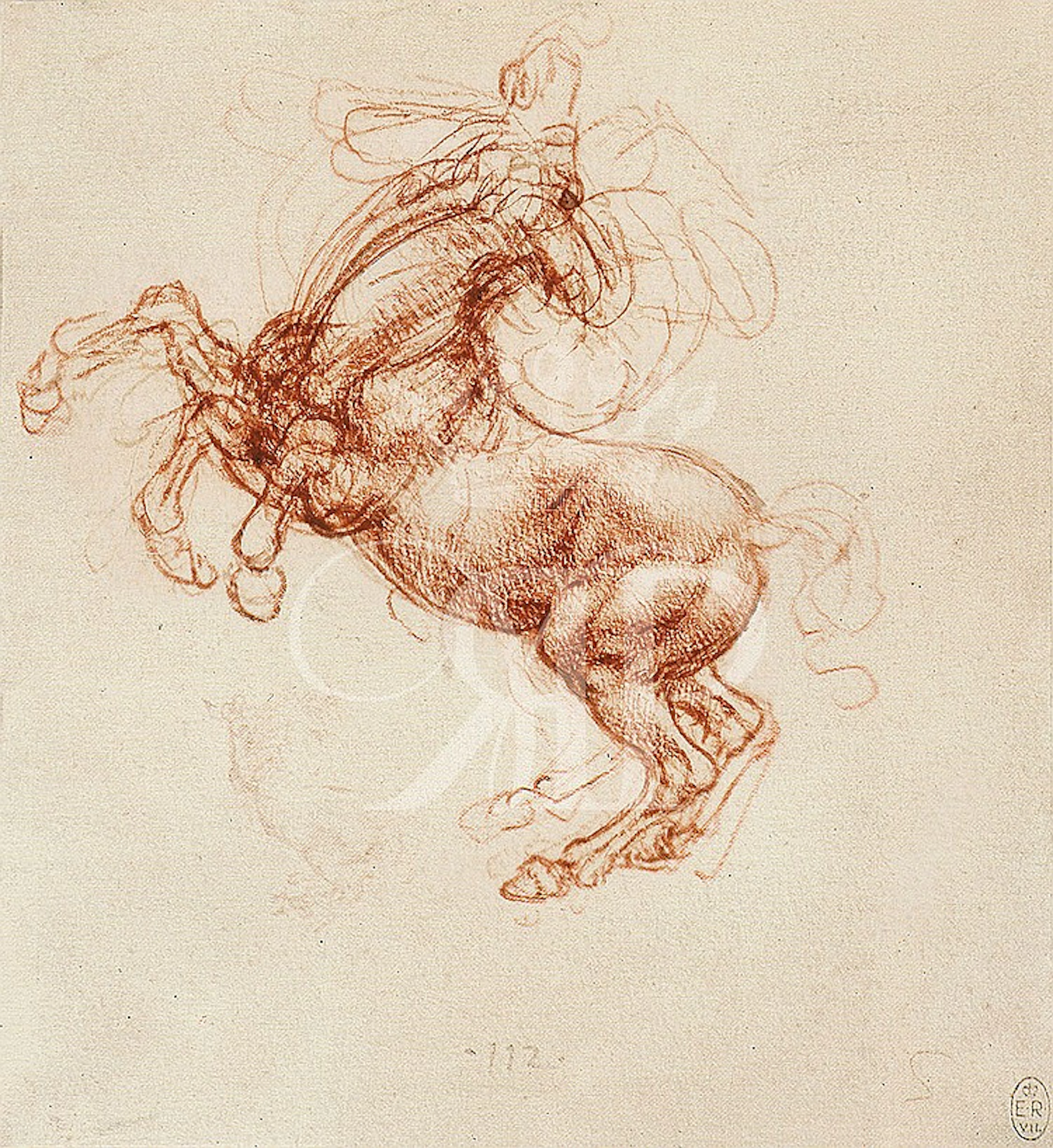 Lithographic Prints - Leonardo Da Vinci Drawings (Set of Two)