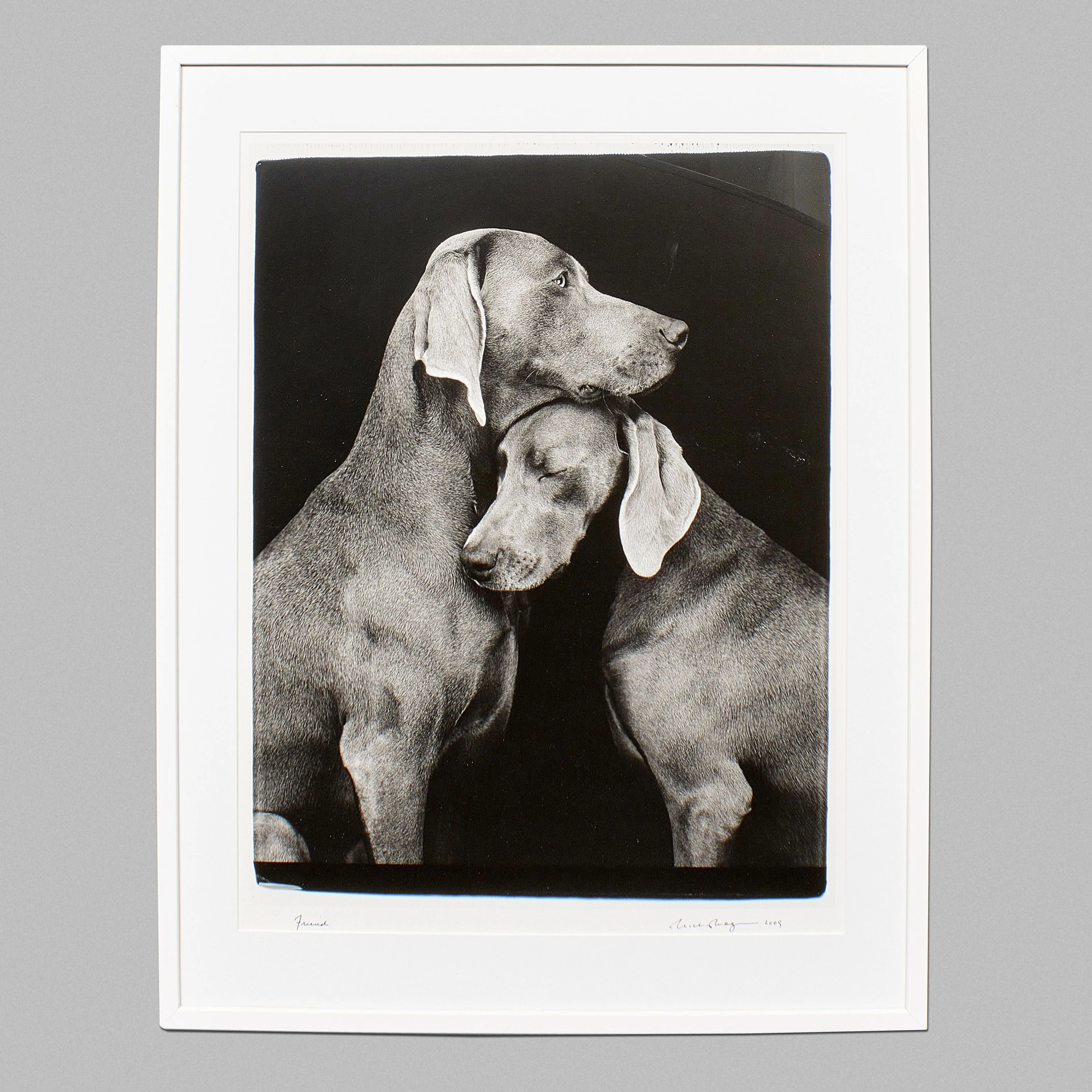 William Wegman