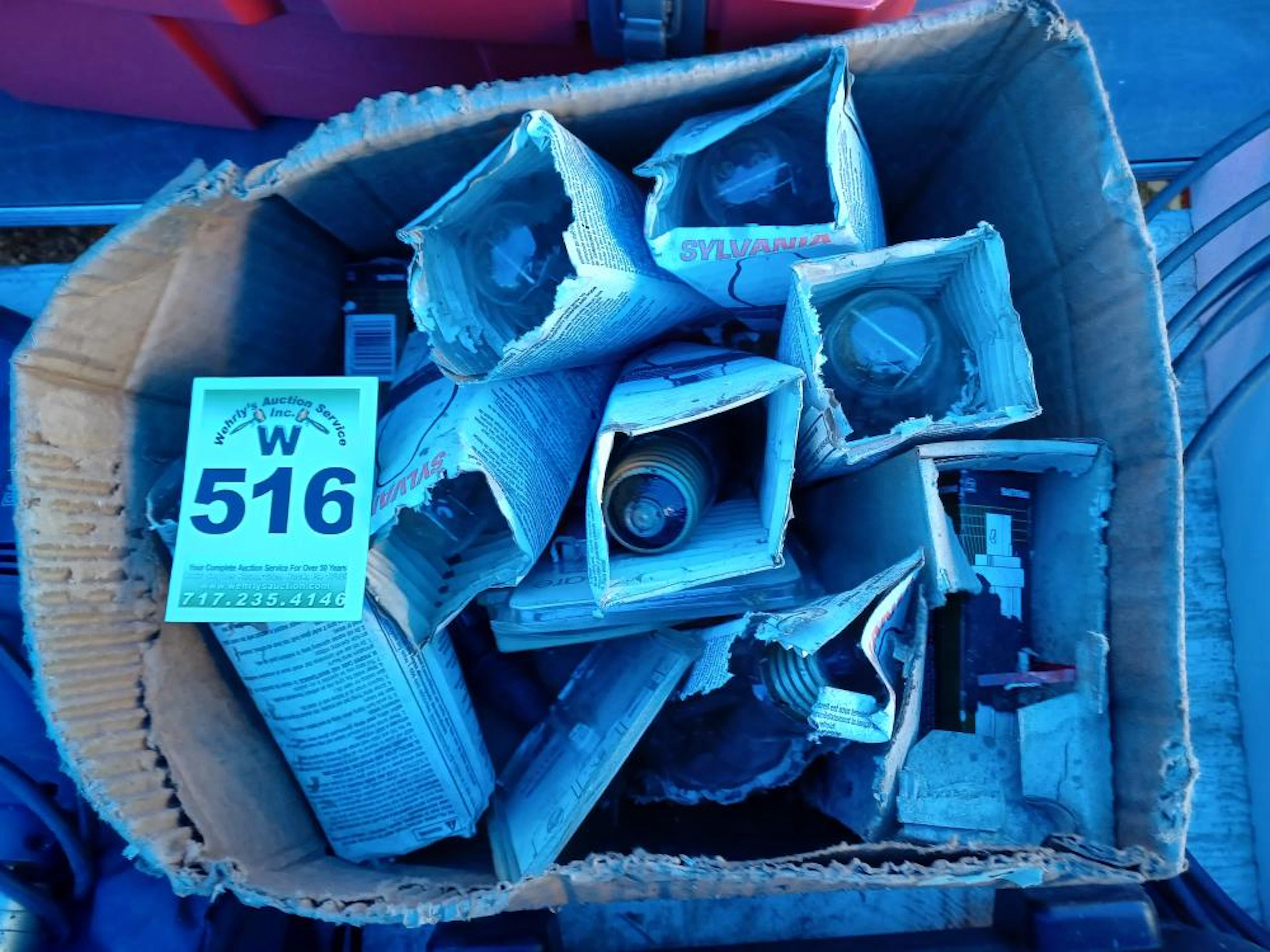 Box Light Bulbs