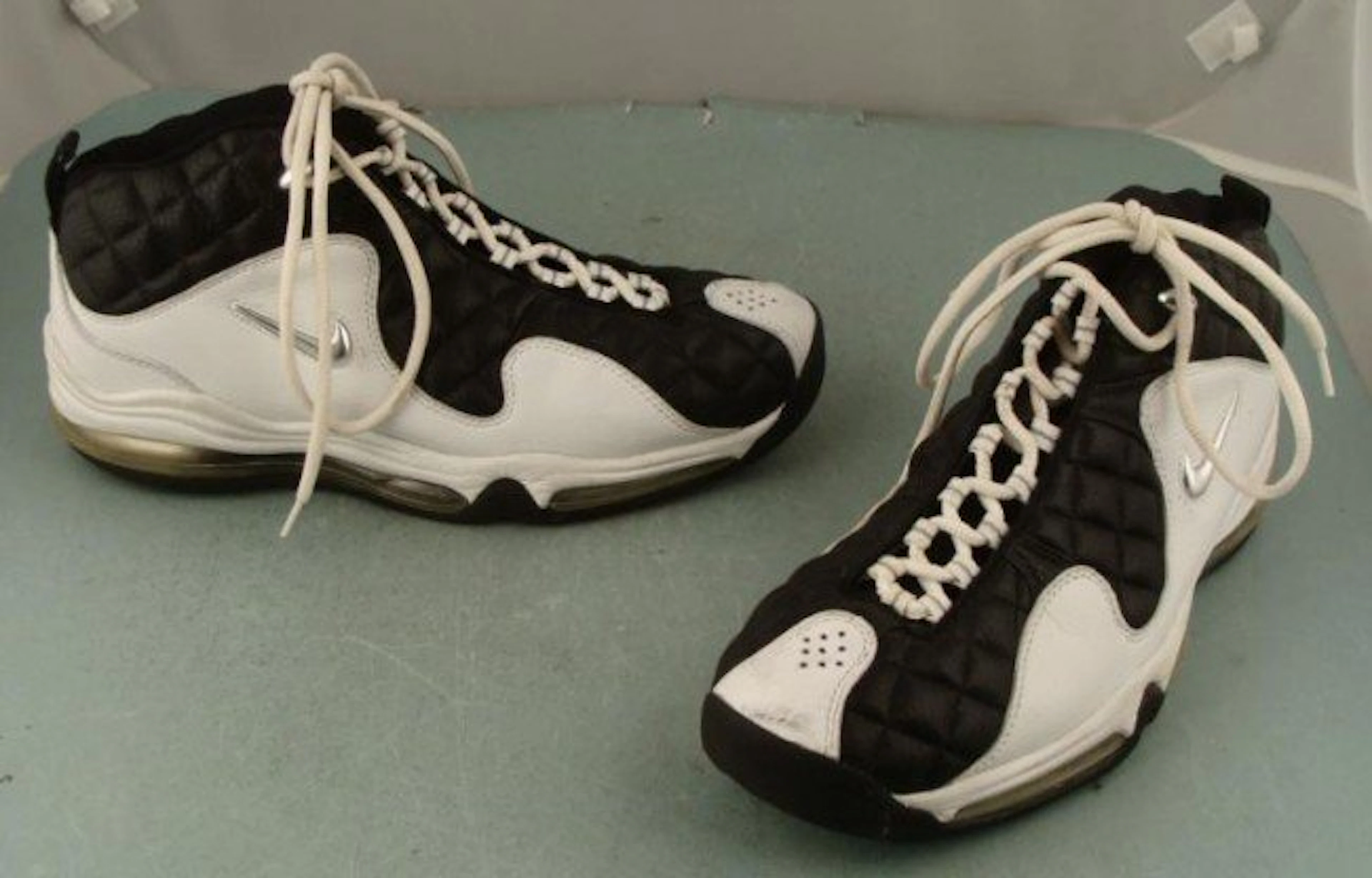 Lisa Leslie WNBA Game Worn Basketball Shoes Nike