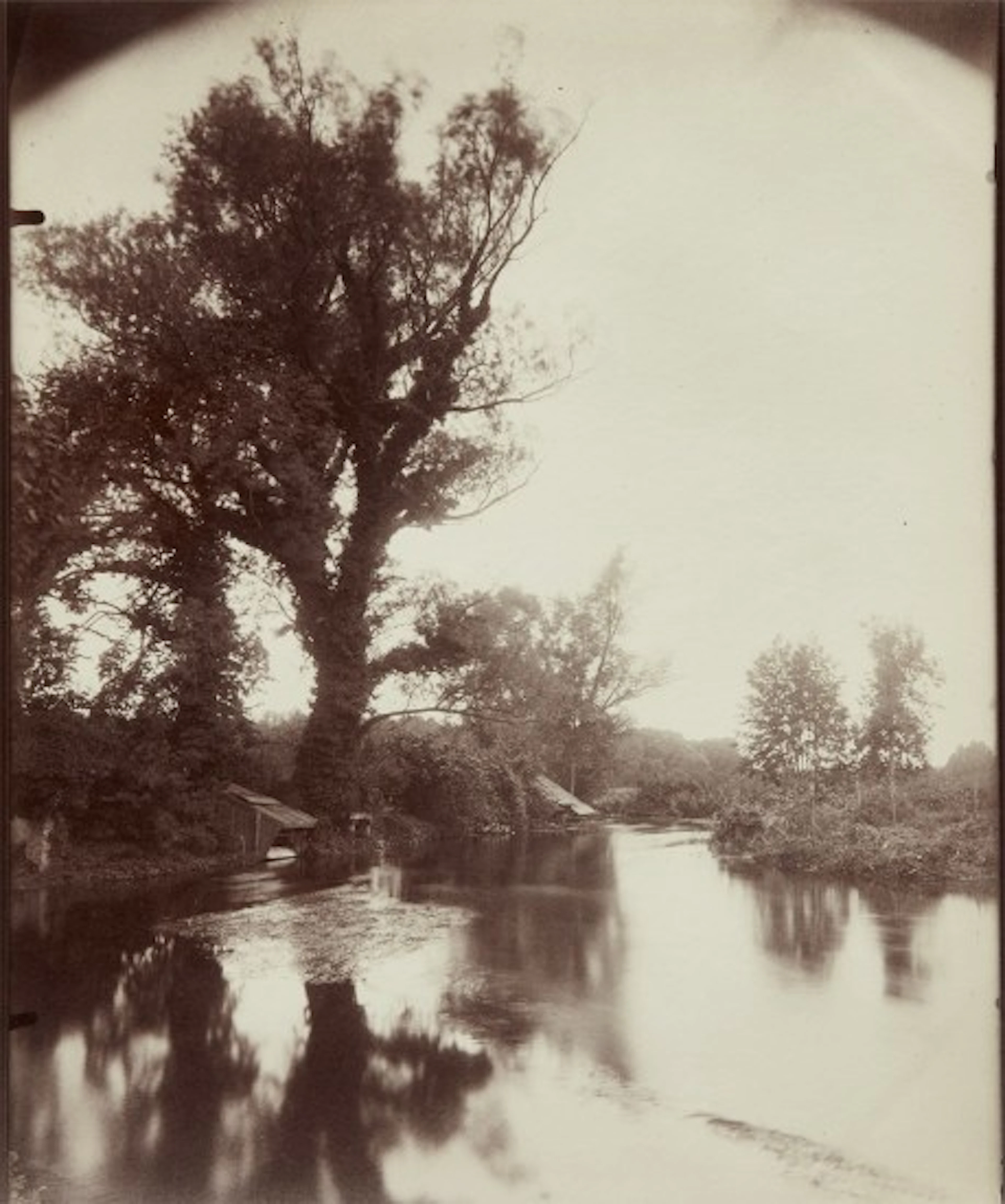 Eugène Atget - La Ferté Alais (Etang)