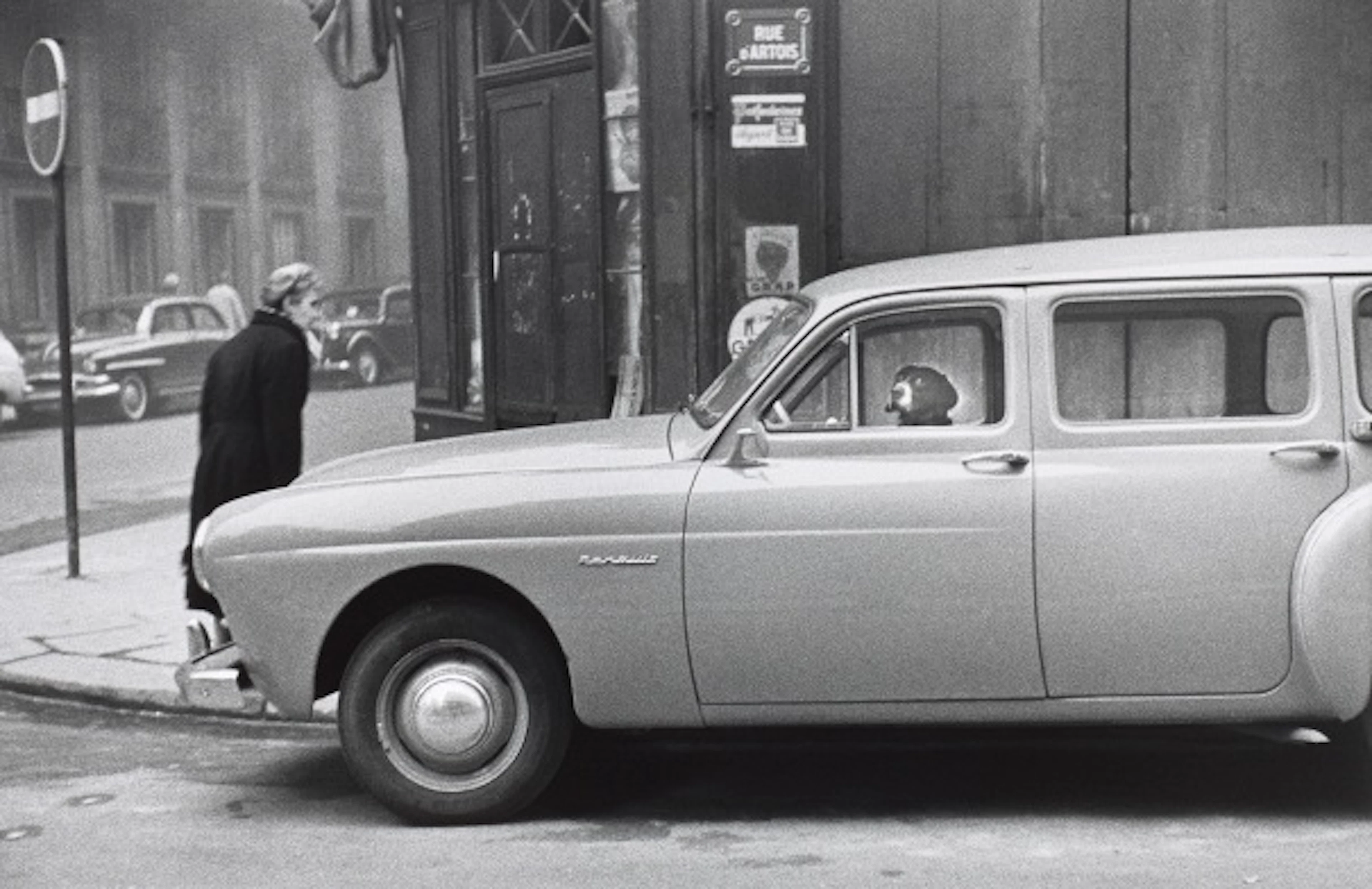 Elliott Erwitt - Paris