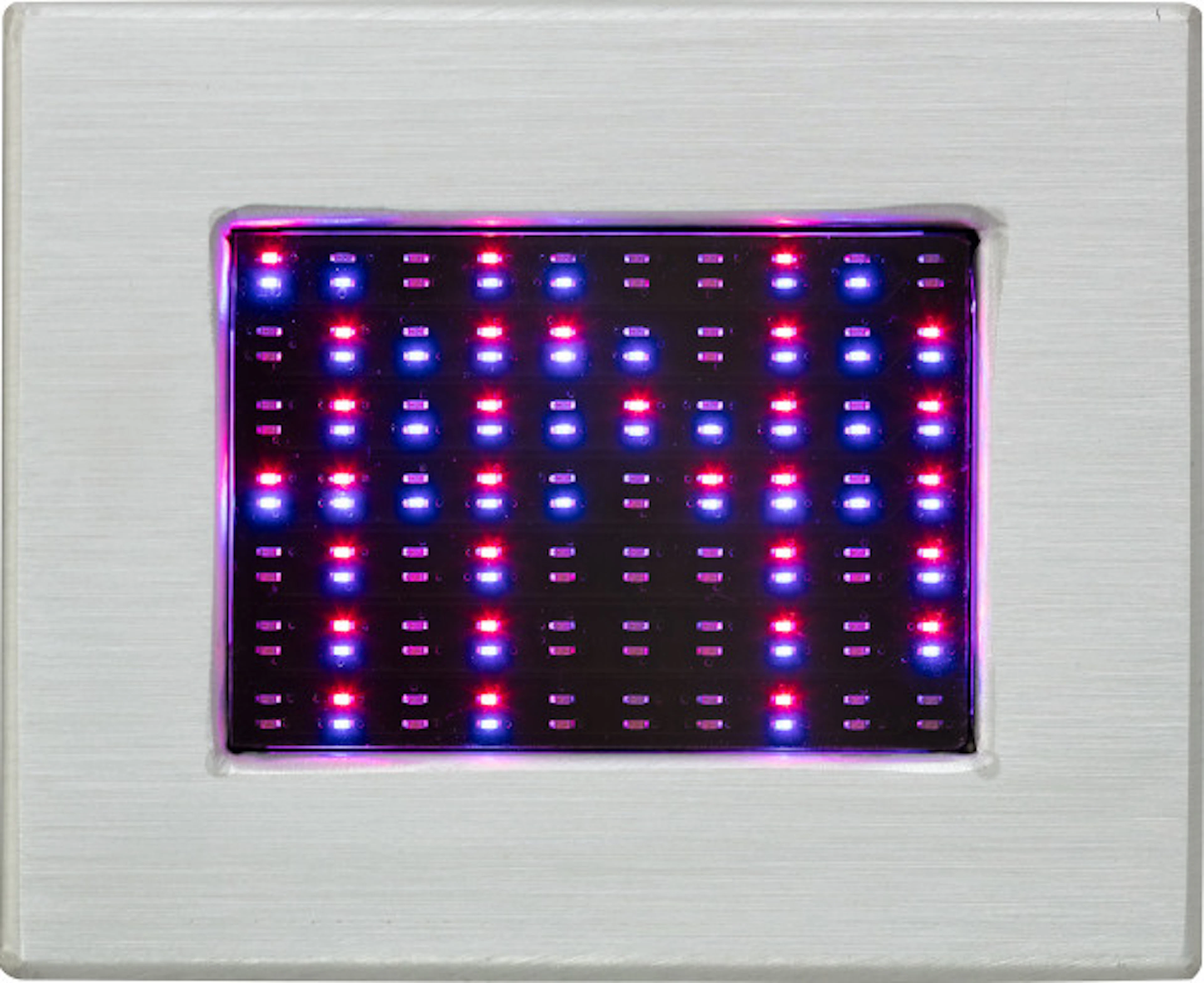 Jenny Holzer - Purple Truisms Survival