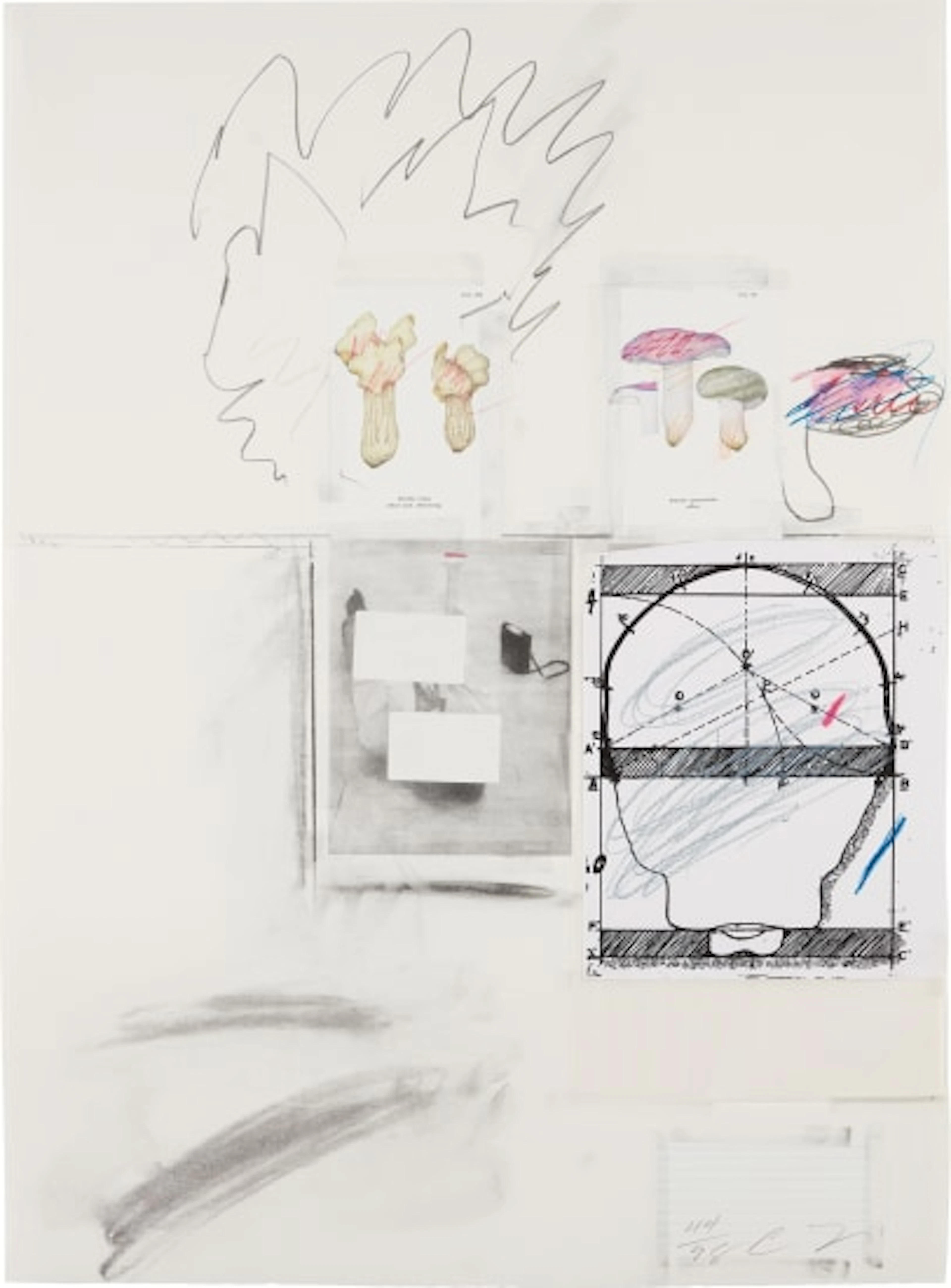 Cy Twombly - No. II, from Natural History Part I Mushrooms (B. 43)