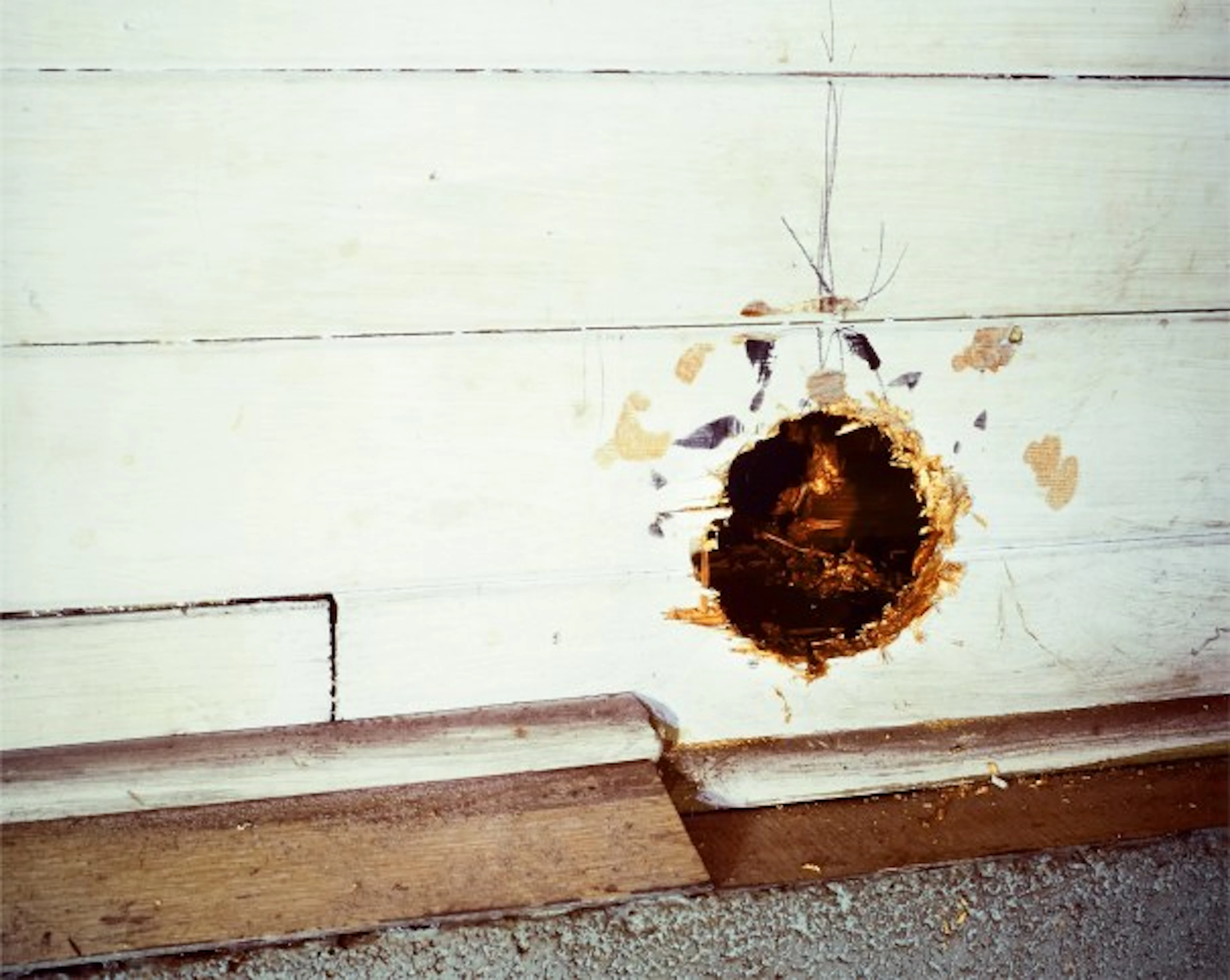 Jeff Wall - Pipe Opening