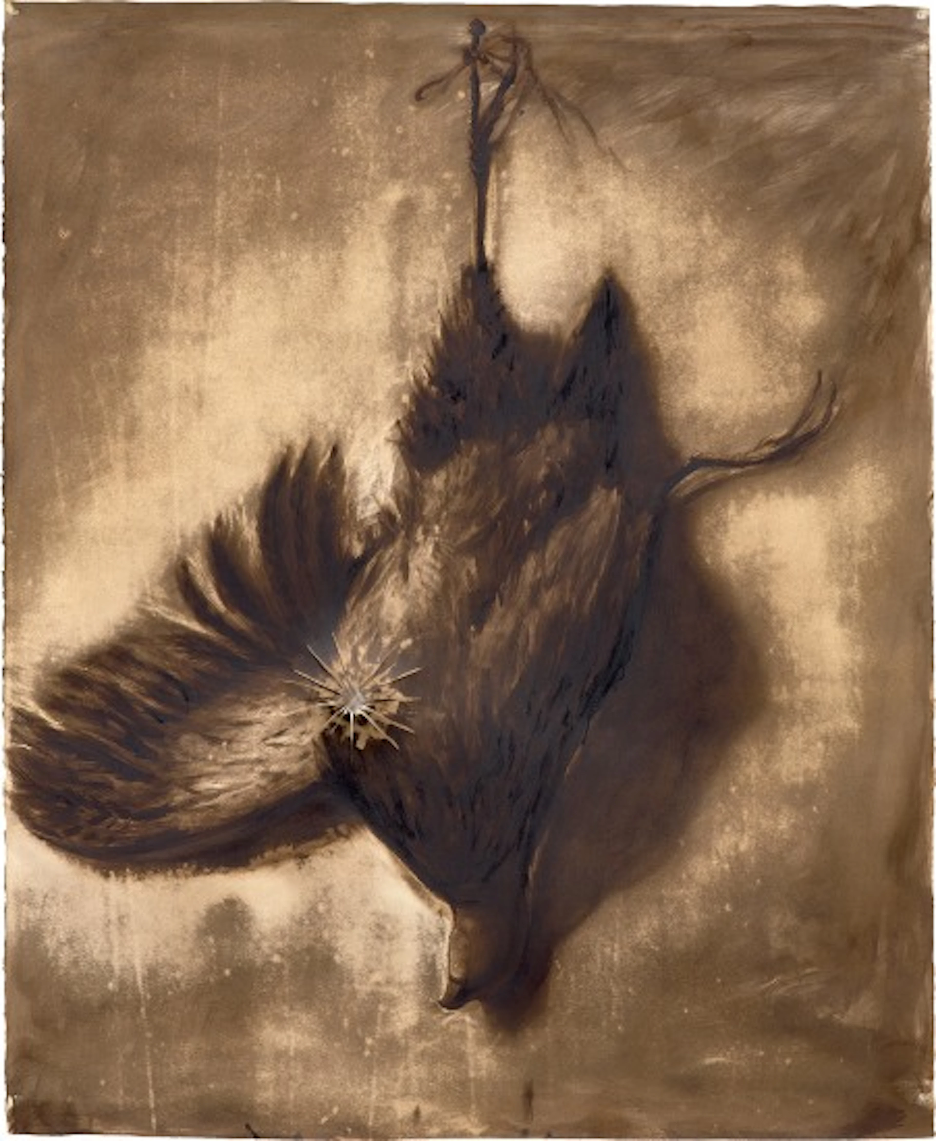 Titus Kaphar - Fowl