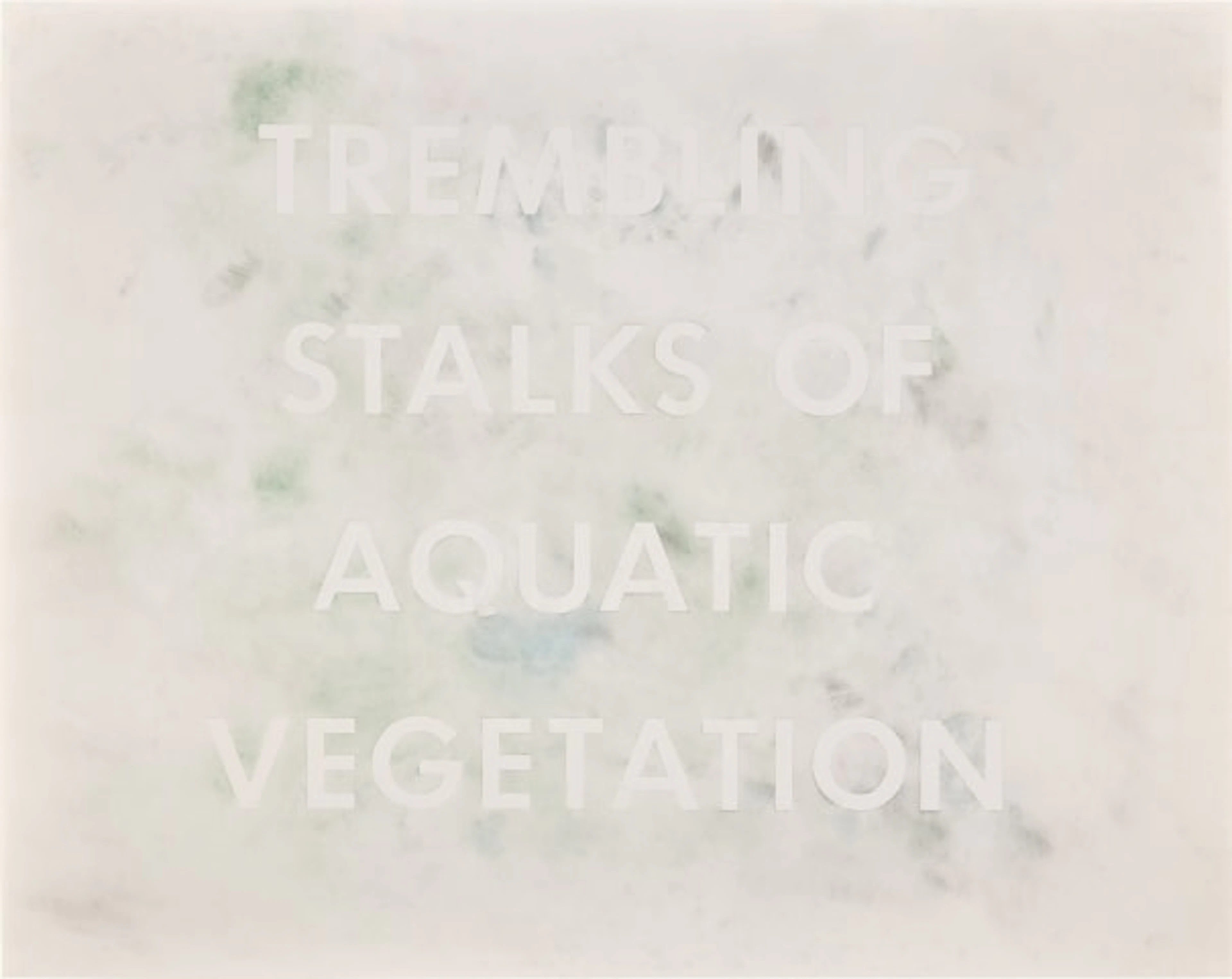 Ed Ruscha - TREMBLING STALKS OF AQUATIC VEGETATION