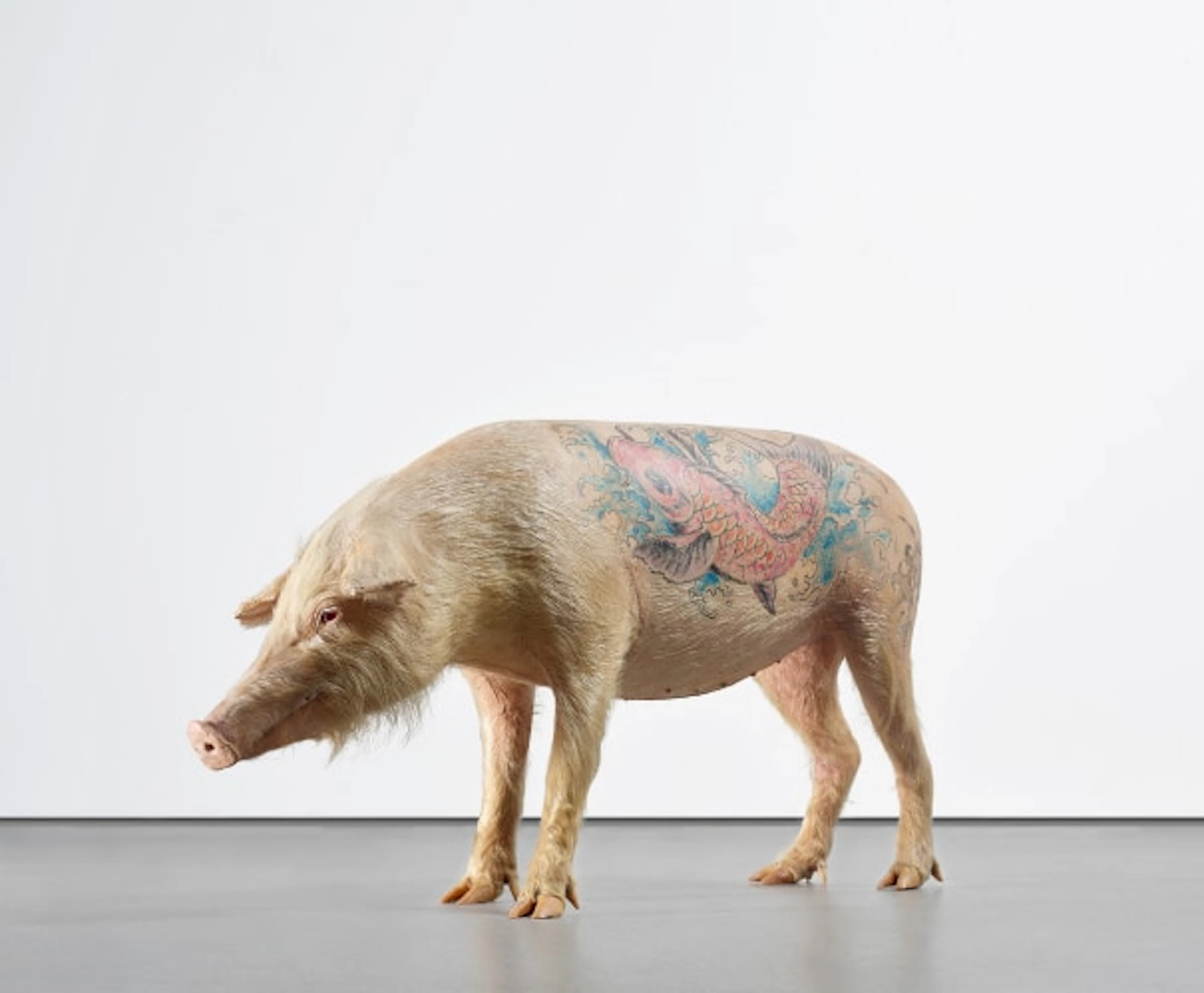 Wim Delvoye - Vladimir (Le Cochon)