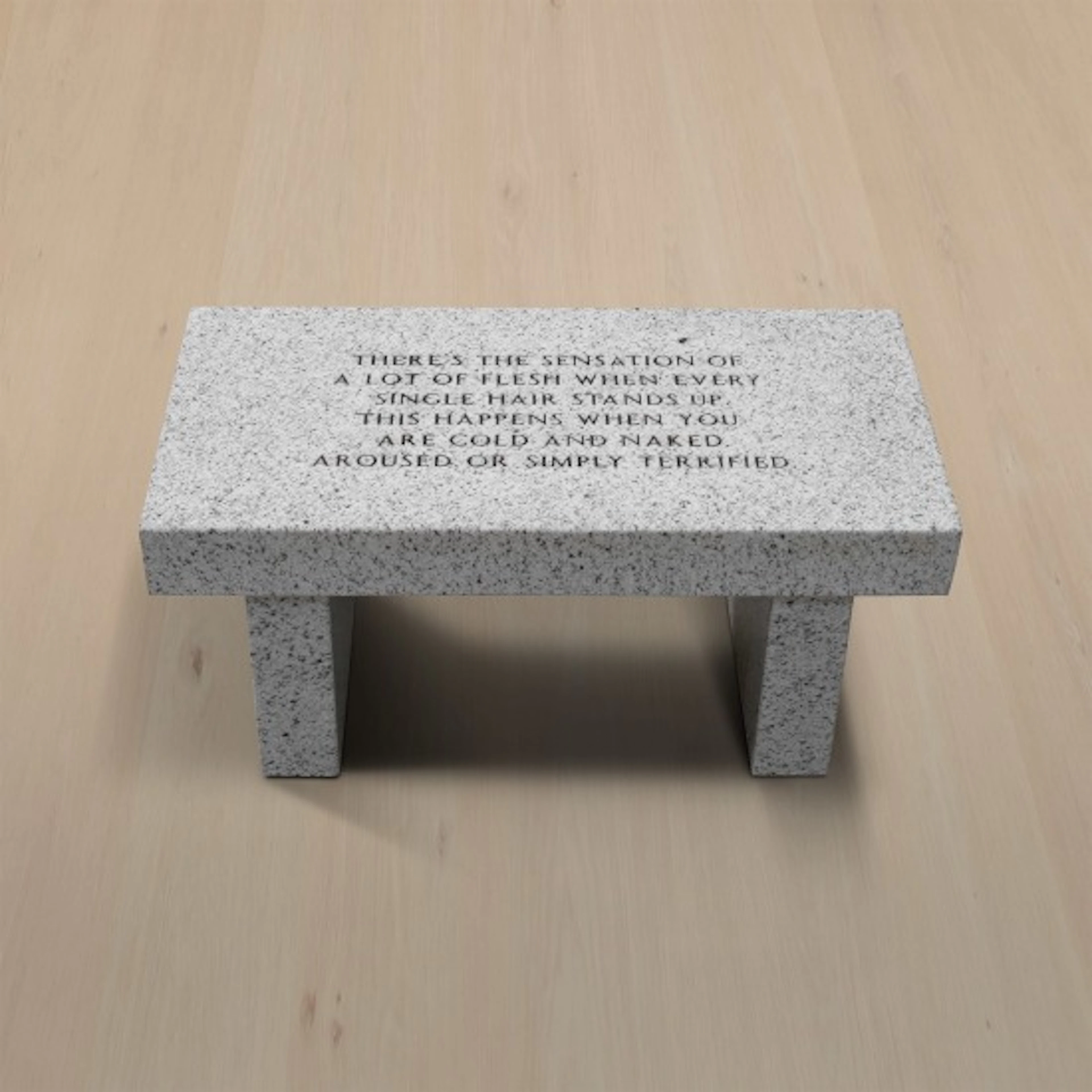 Jenny Holzer - Living Series: There's the Sensation of a lot of Flesh...