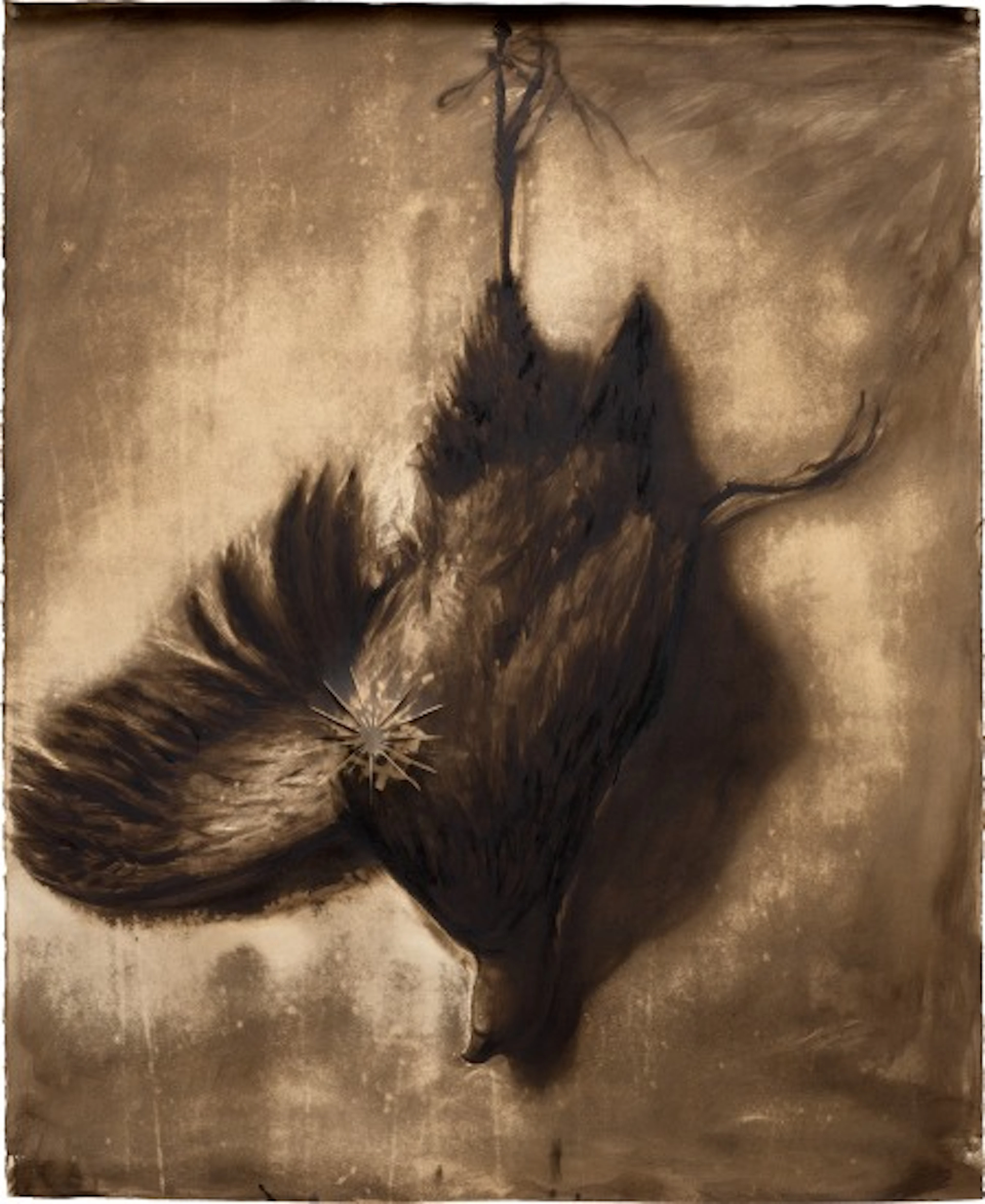 Titus Kaphar - Fowl