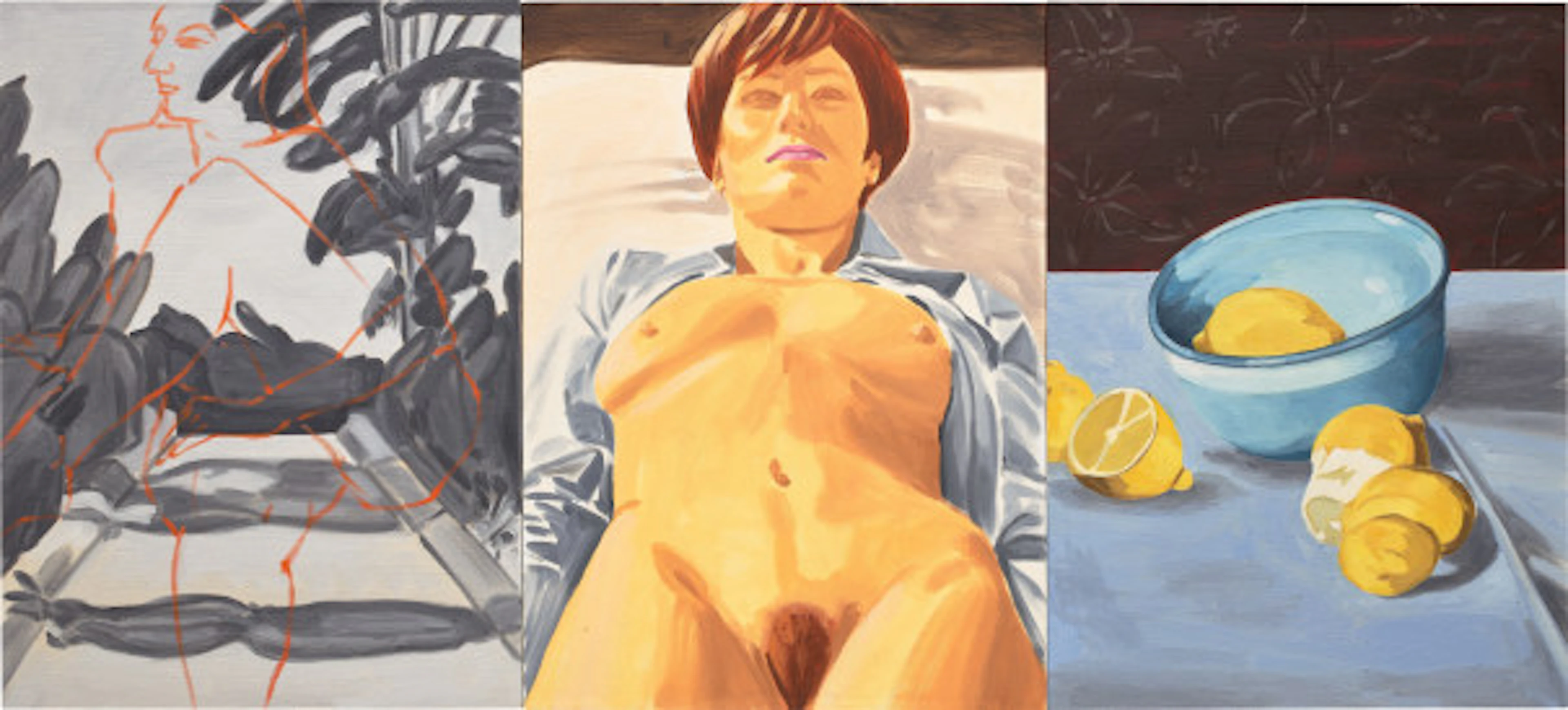 David Salle - Peel
