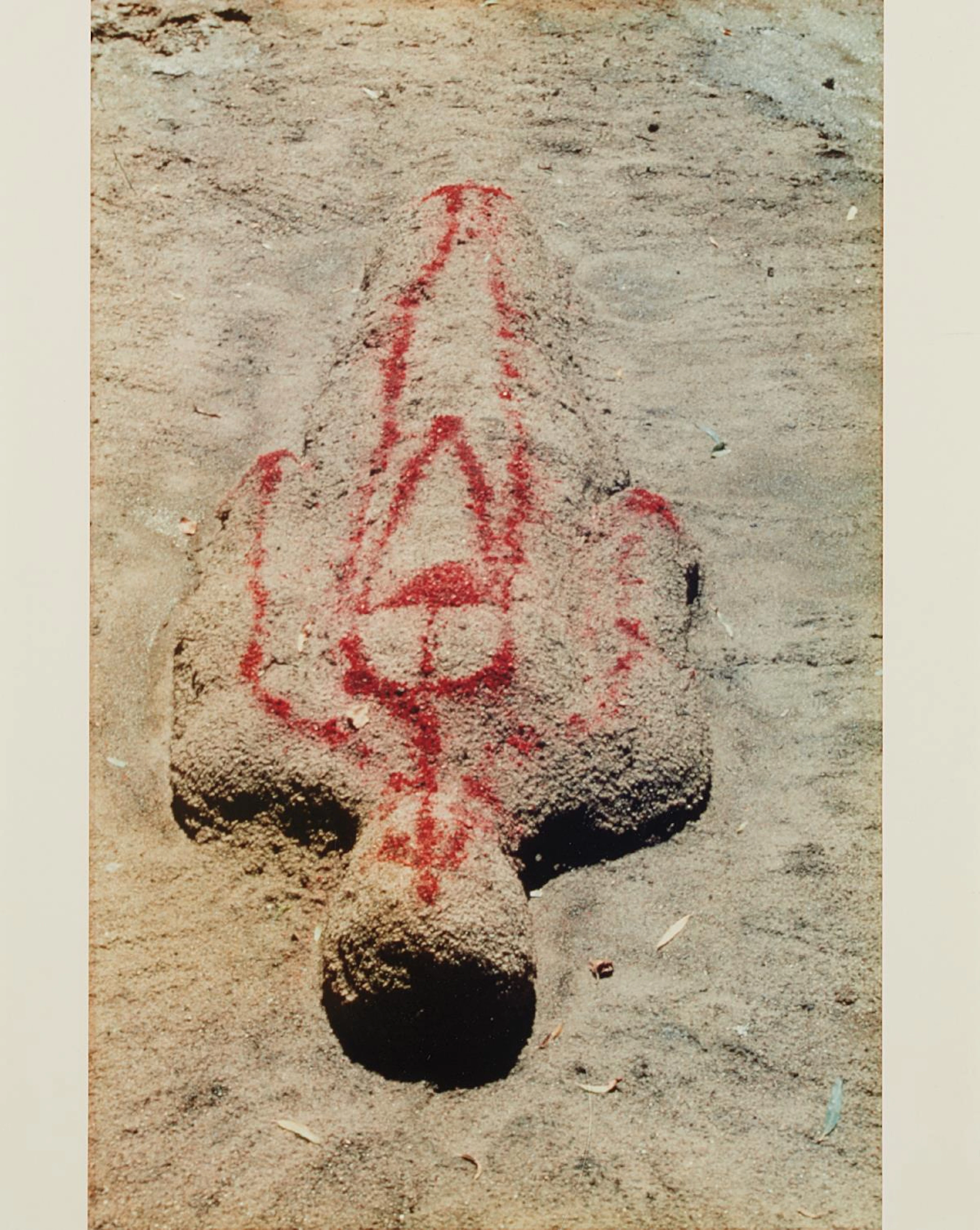 Silueta Works in Iowa, 1976-78 – Ana Mendieta
