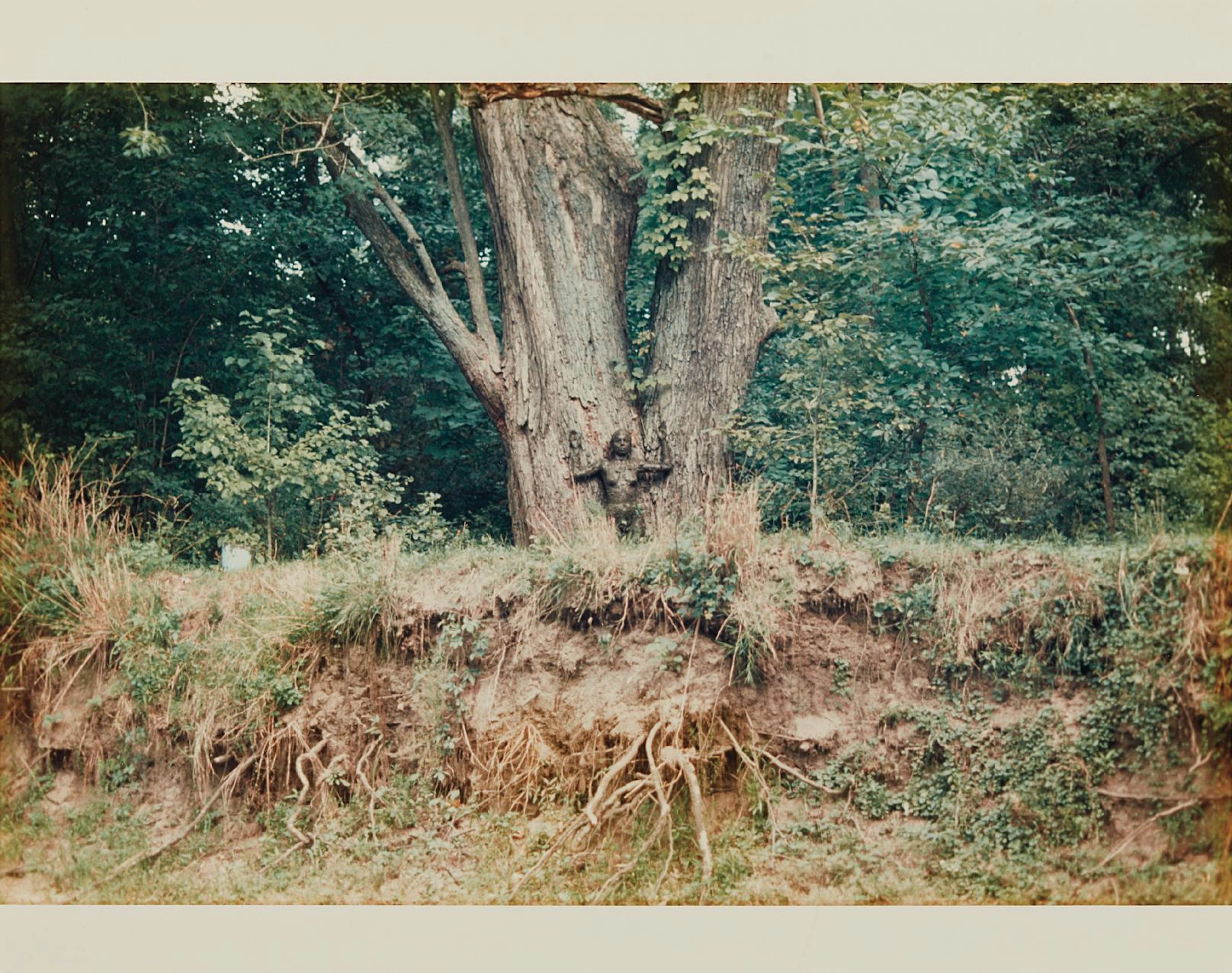 Silueta Works in Iowa, 1976-78 – Ana Mendieta