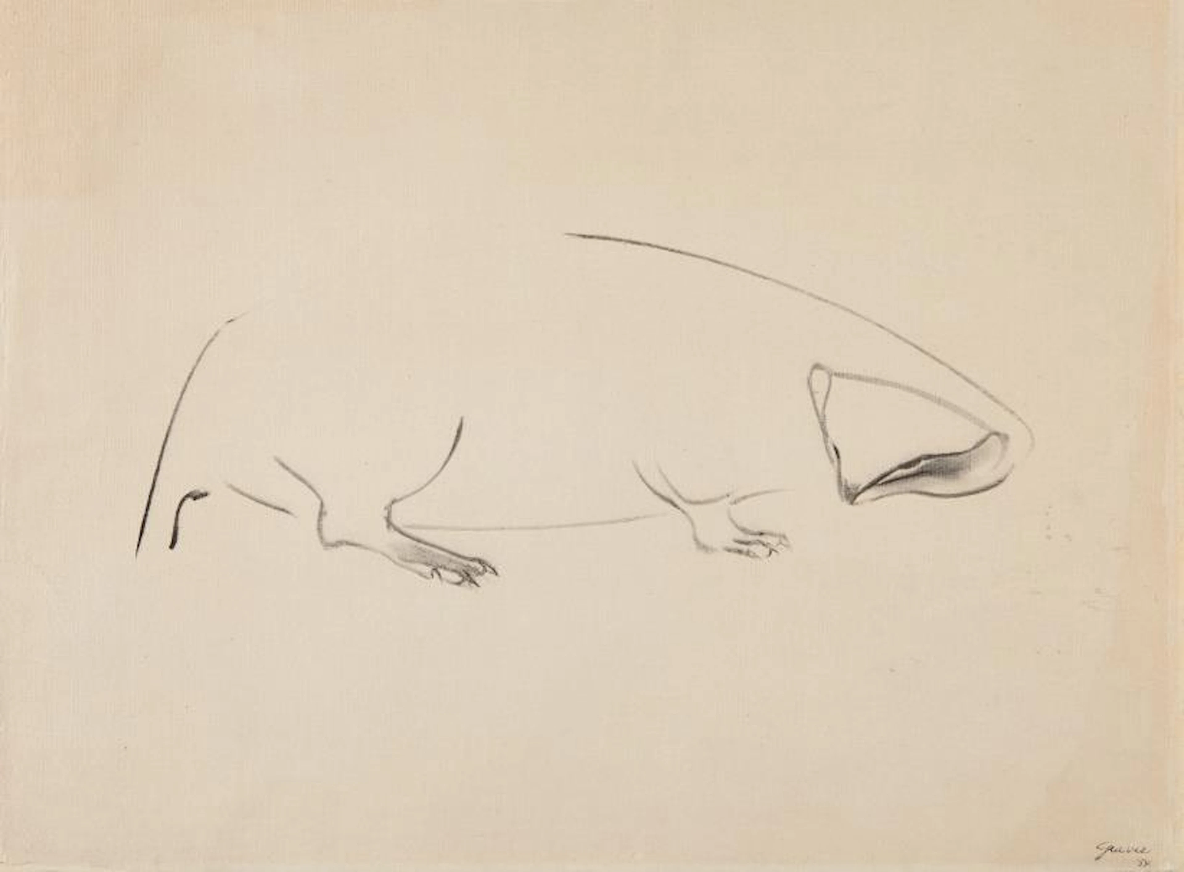 Animal, 1954 – Morris Graves