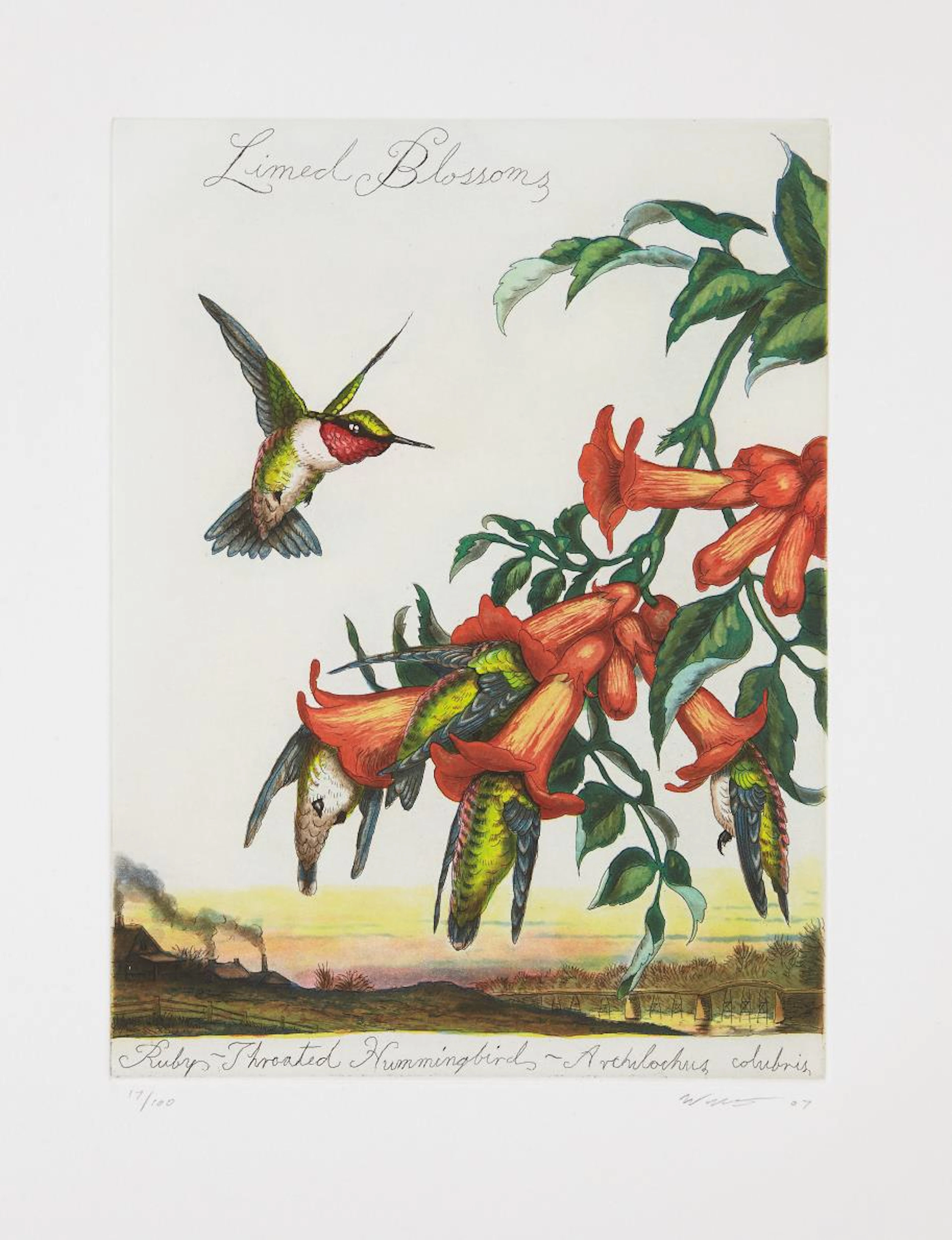 Limed Blossoms, 2007 – Walton Ford