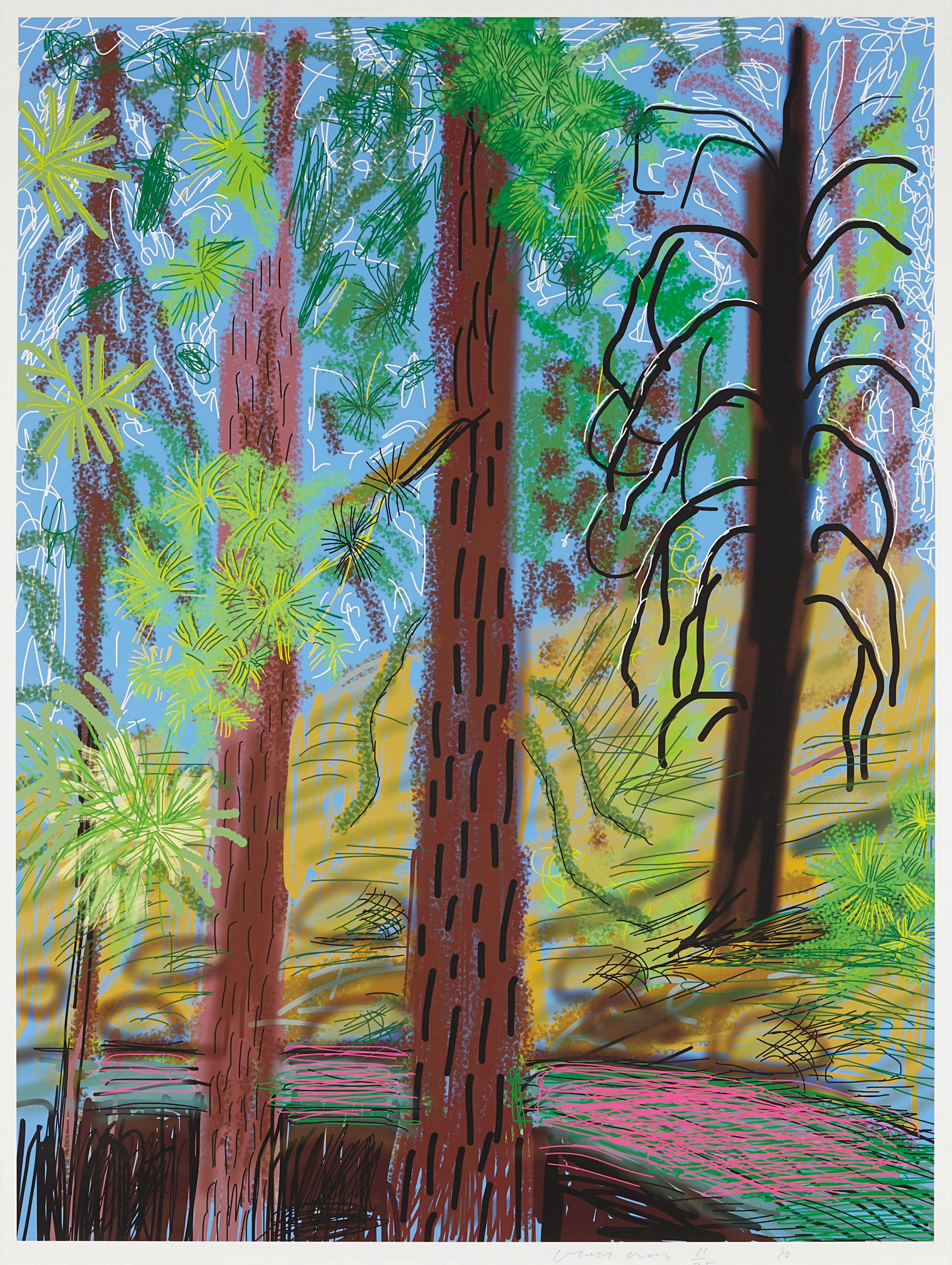 Untitled No. 6 from the Yosemite Suite, 2010 – David Hockney