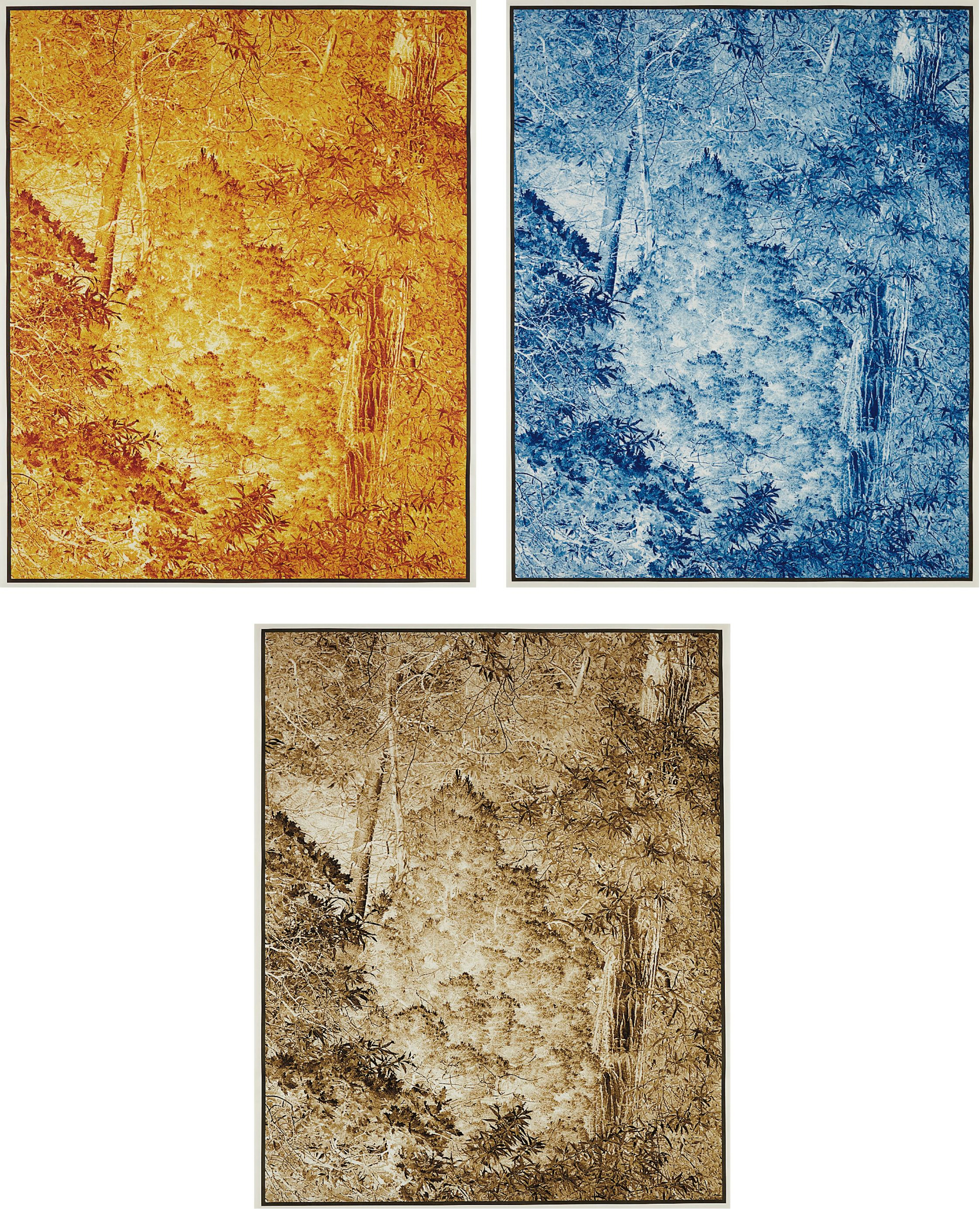 Harmonium I; III; and V, 2008 – Clifford Ross