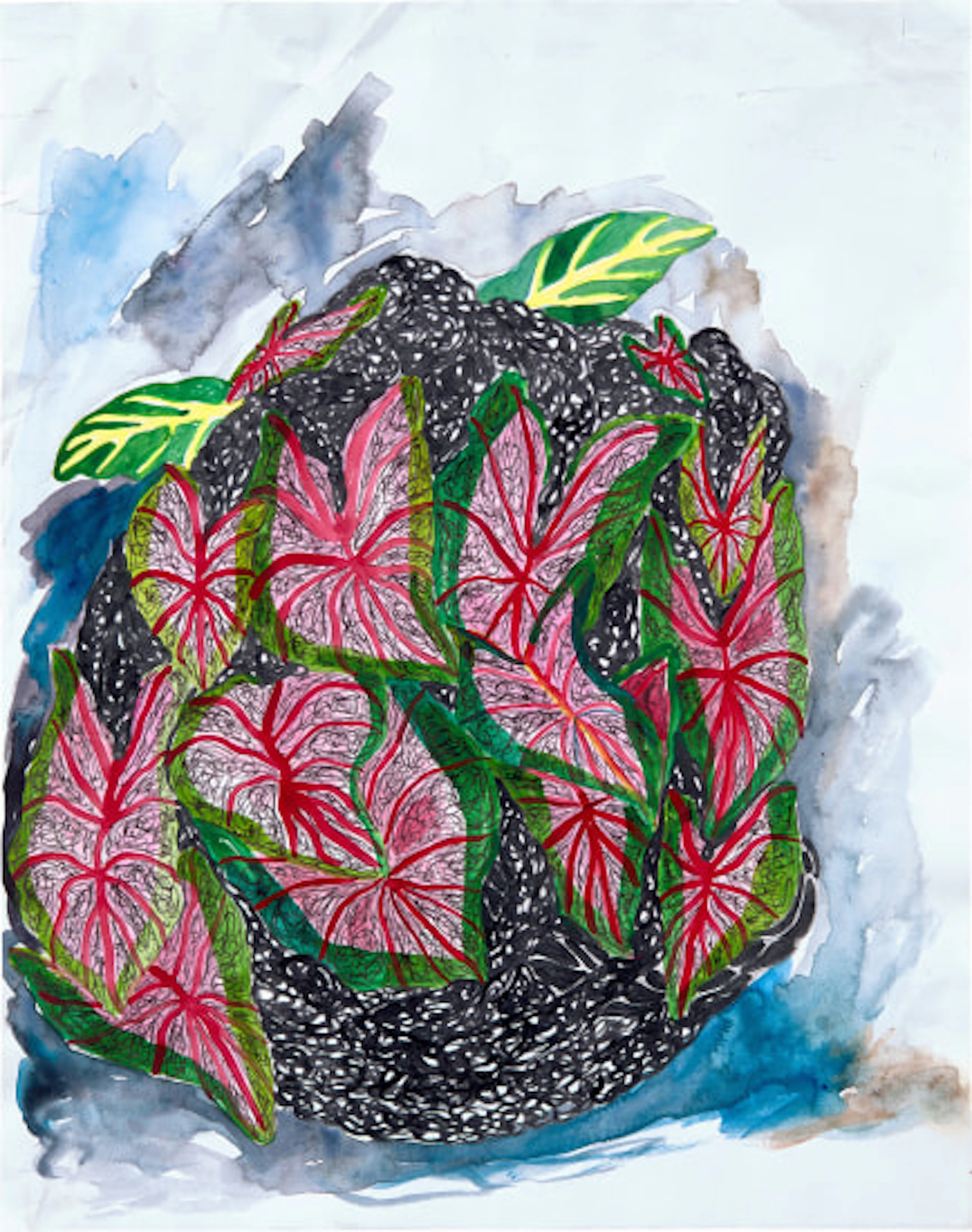 Vaughn Spann - Strange Bloom #4