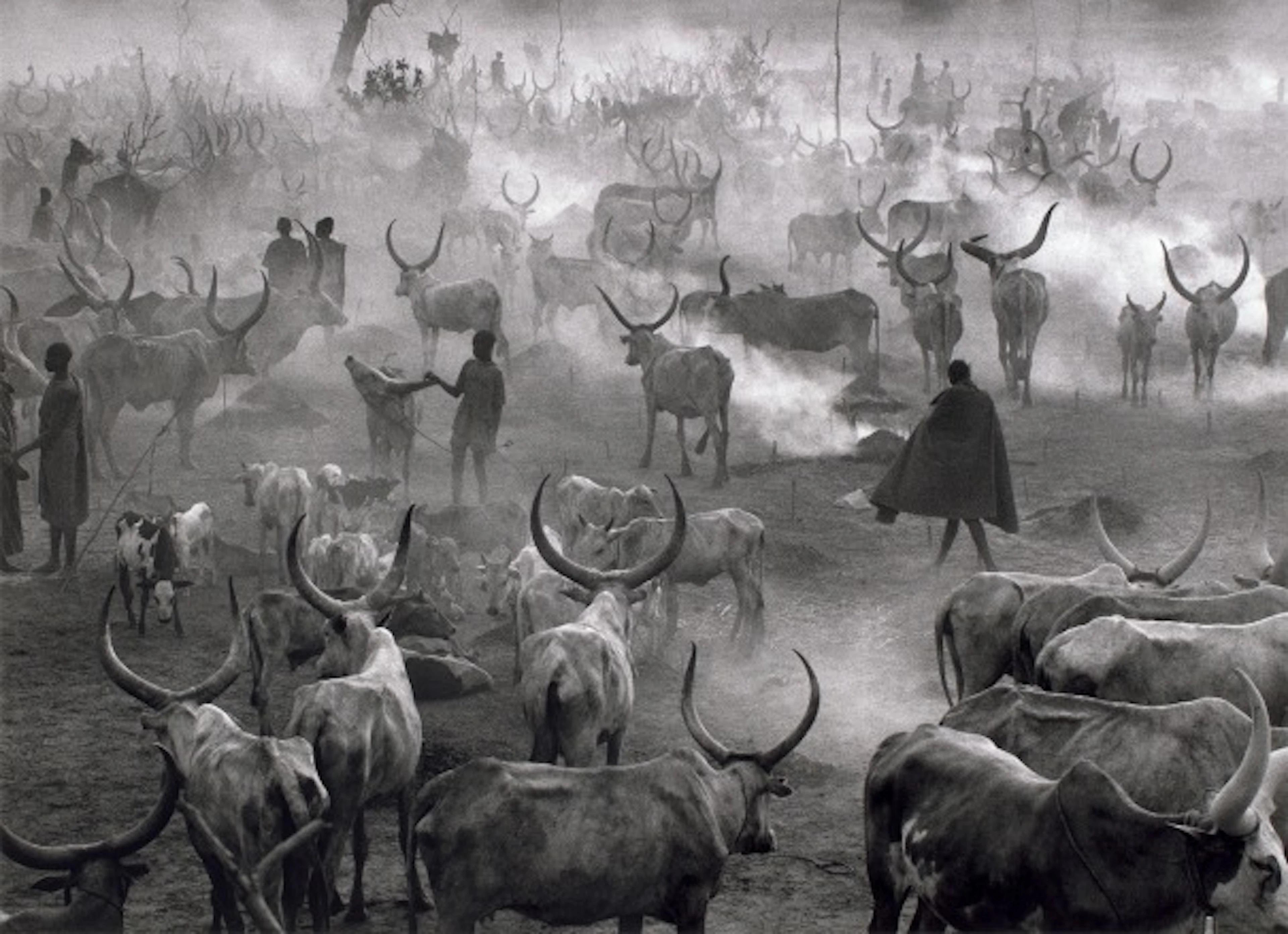 Sebastião Salgado - Dinka Cattle Camp of Amak, Southern Suda