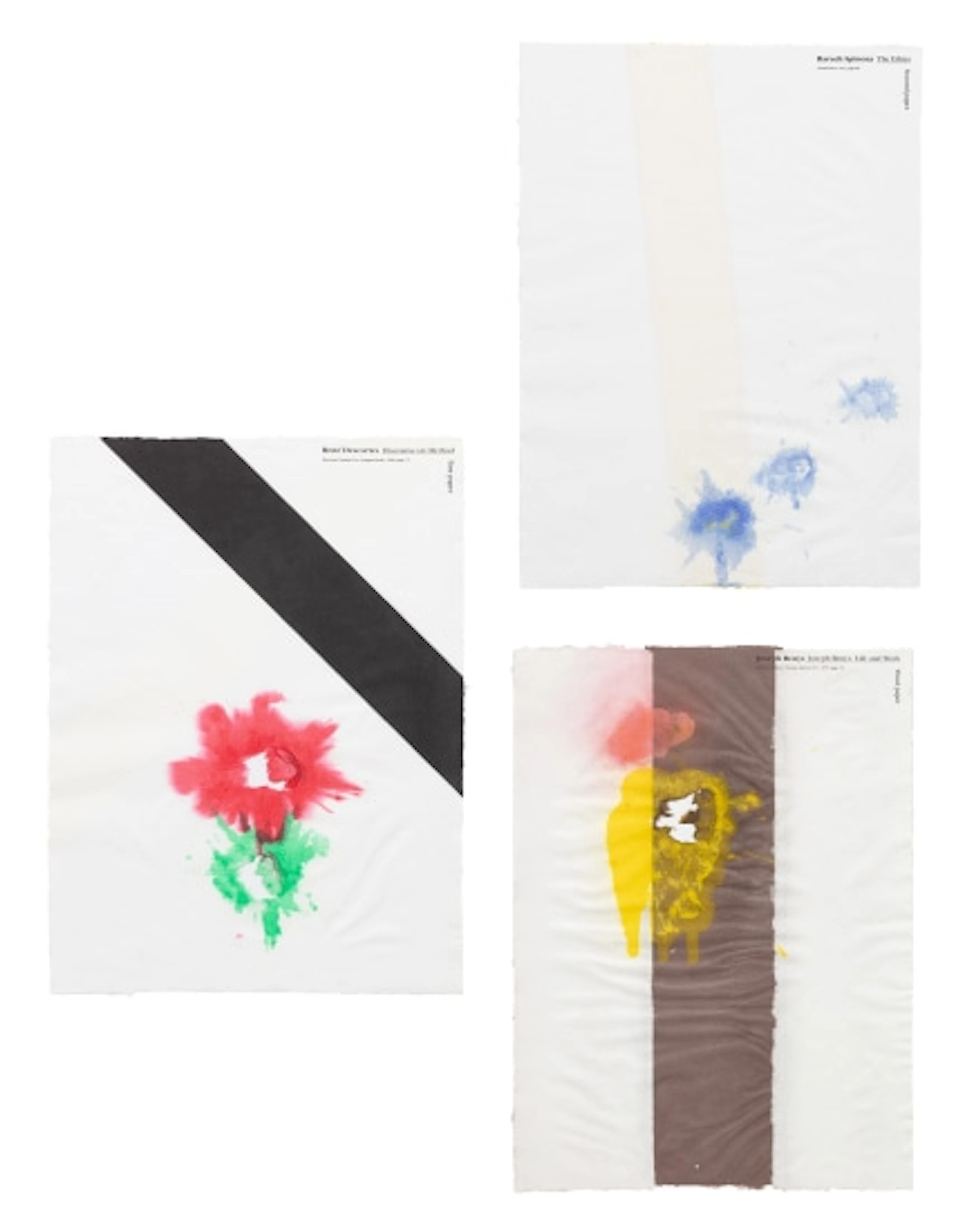 Richard Tuttle - Plastic History (Portfolio)