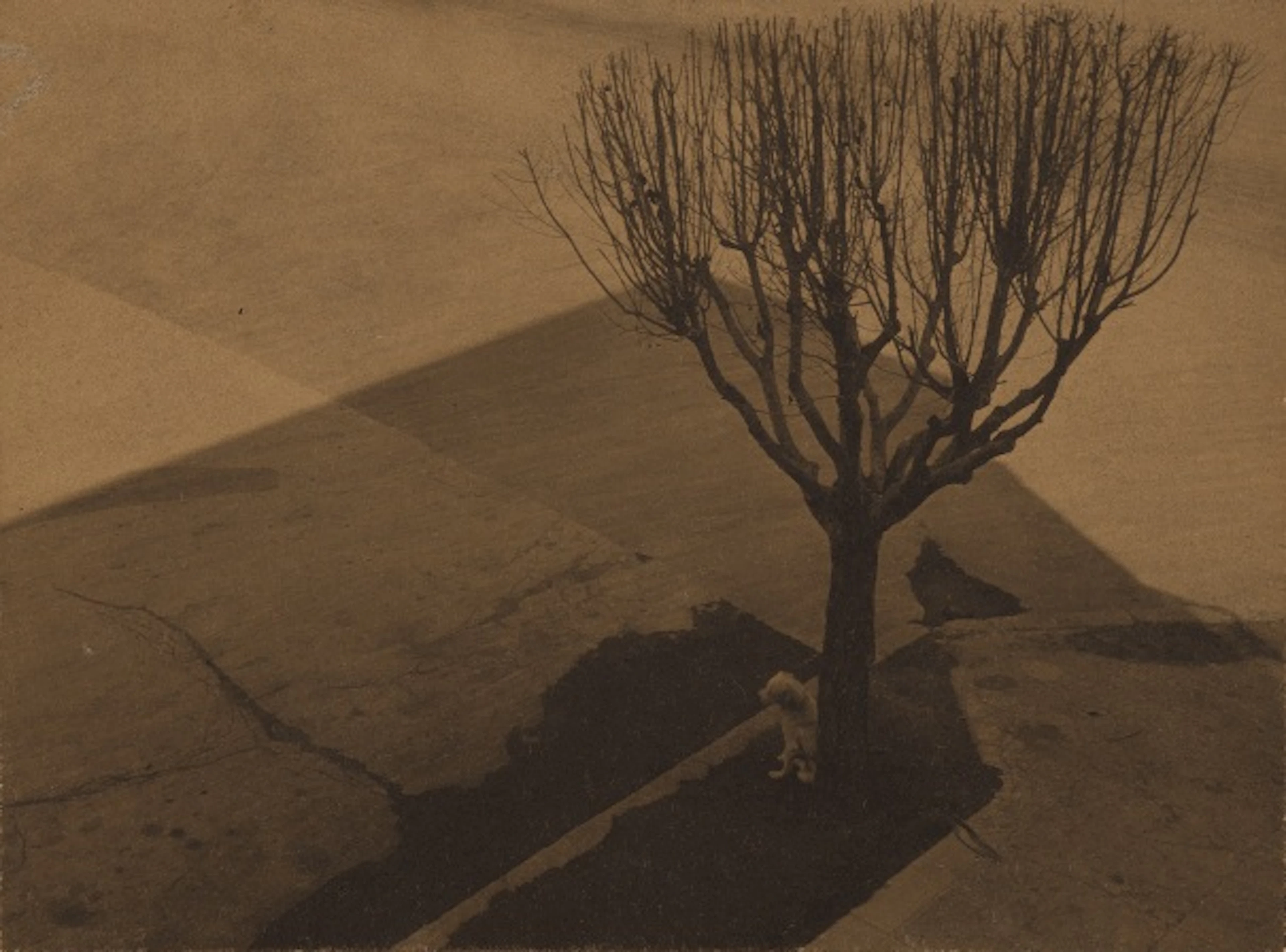 Tina Modotti - Untitled (Mexico City)
