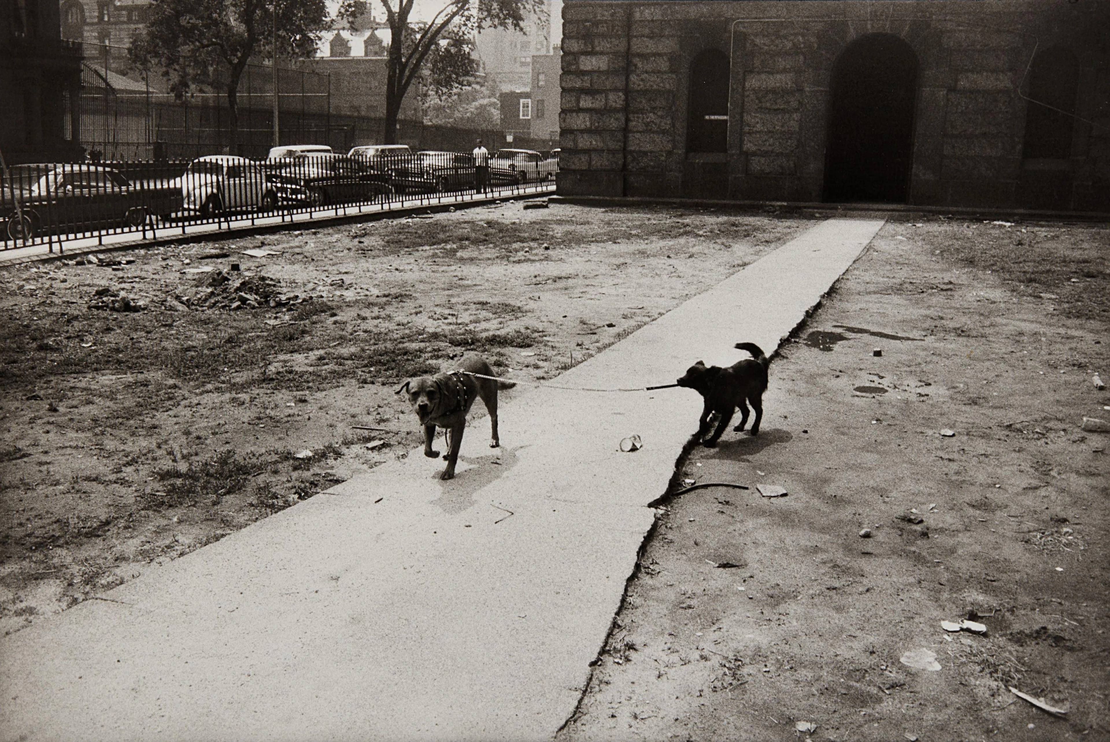 New York City, 1965 – Garry Winogrand