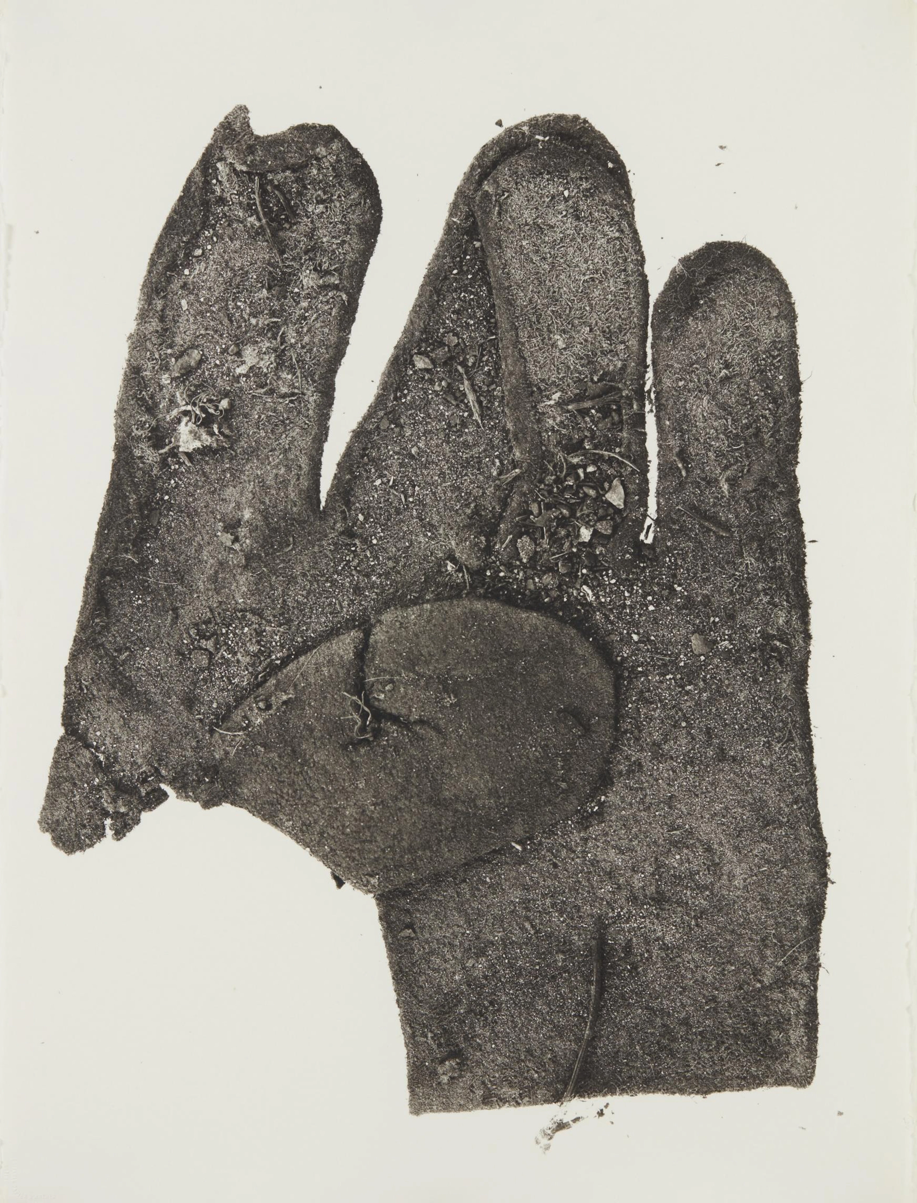 (SM) Flat Glove, New York, 1975 – Irving Penn